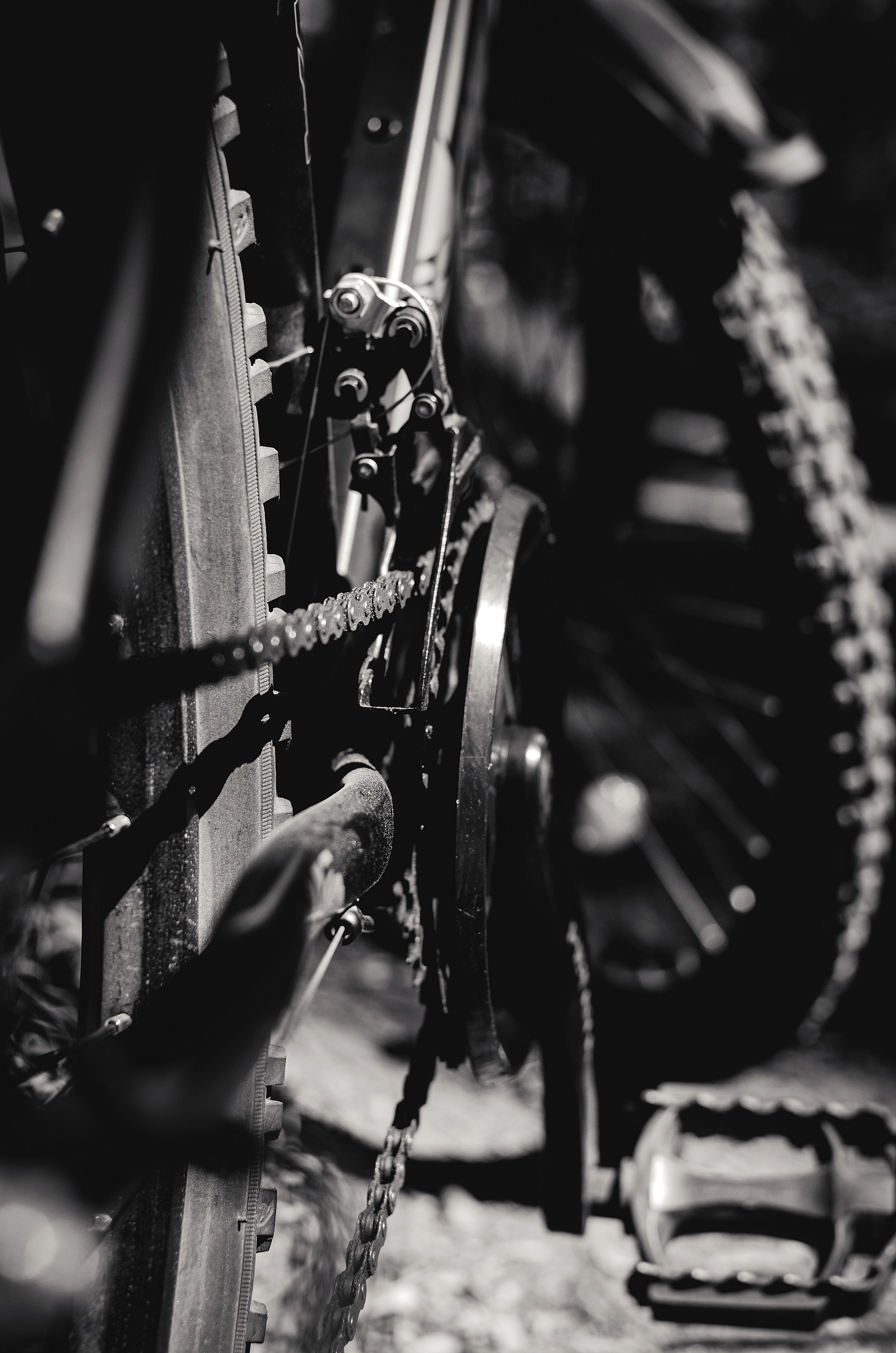 Случайные моменты. Бжицких Виталий — фотограф г. Ульяновск