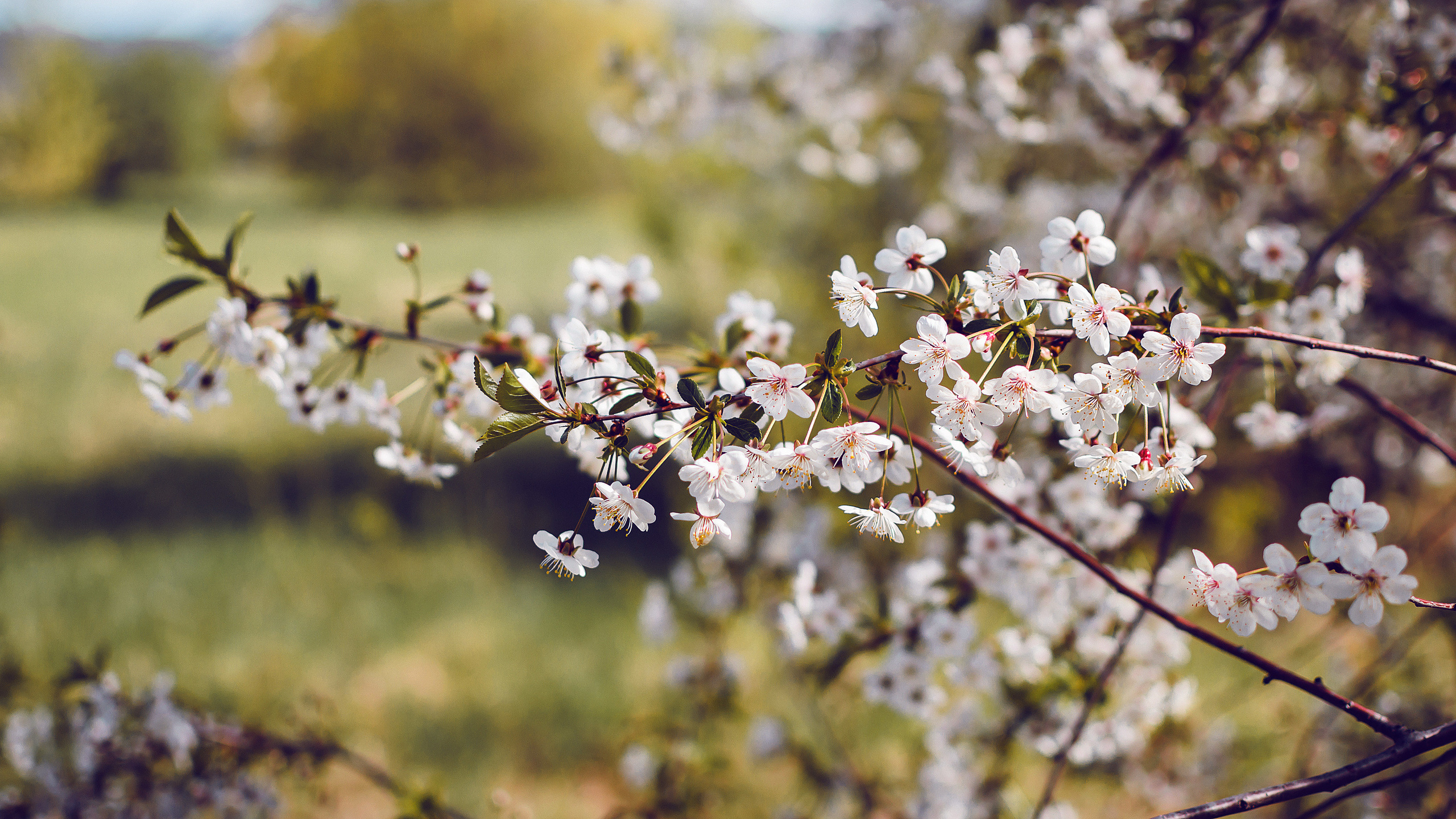 Случайные моменты. Бжицких Виталий — фотограф г. Ульяновск