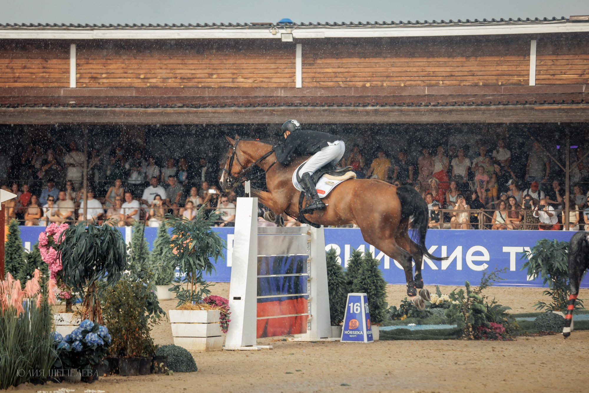 Дерби. Horseka 2024. Детская Конная фотография в Москве Юлия Шепелева