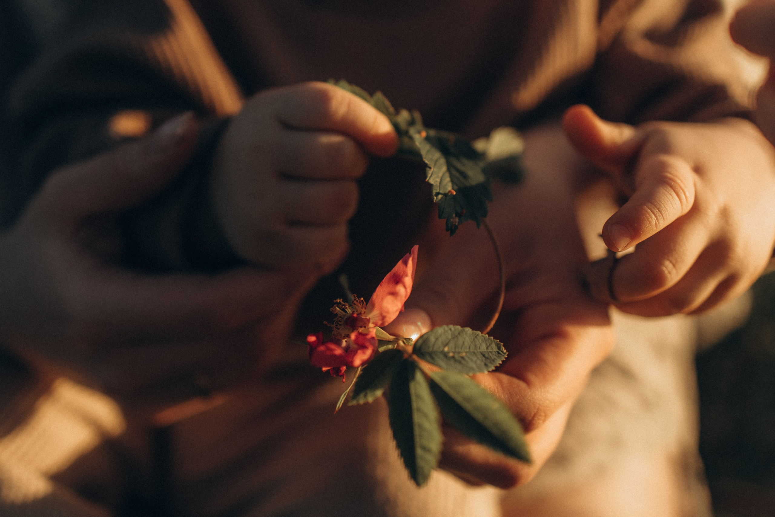 Летний закат. Альбина Казачихина — Семейный фотограф — Казань