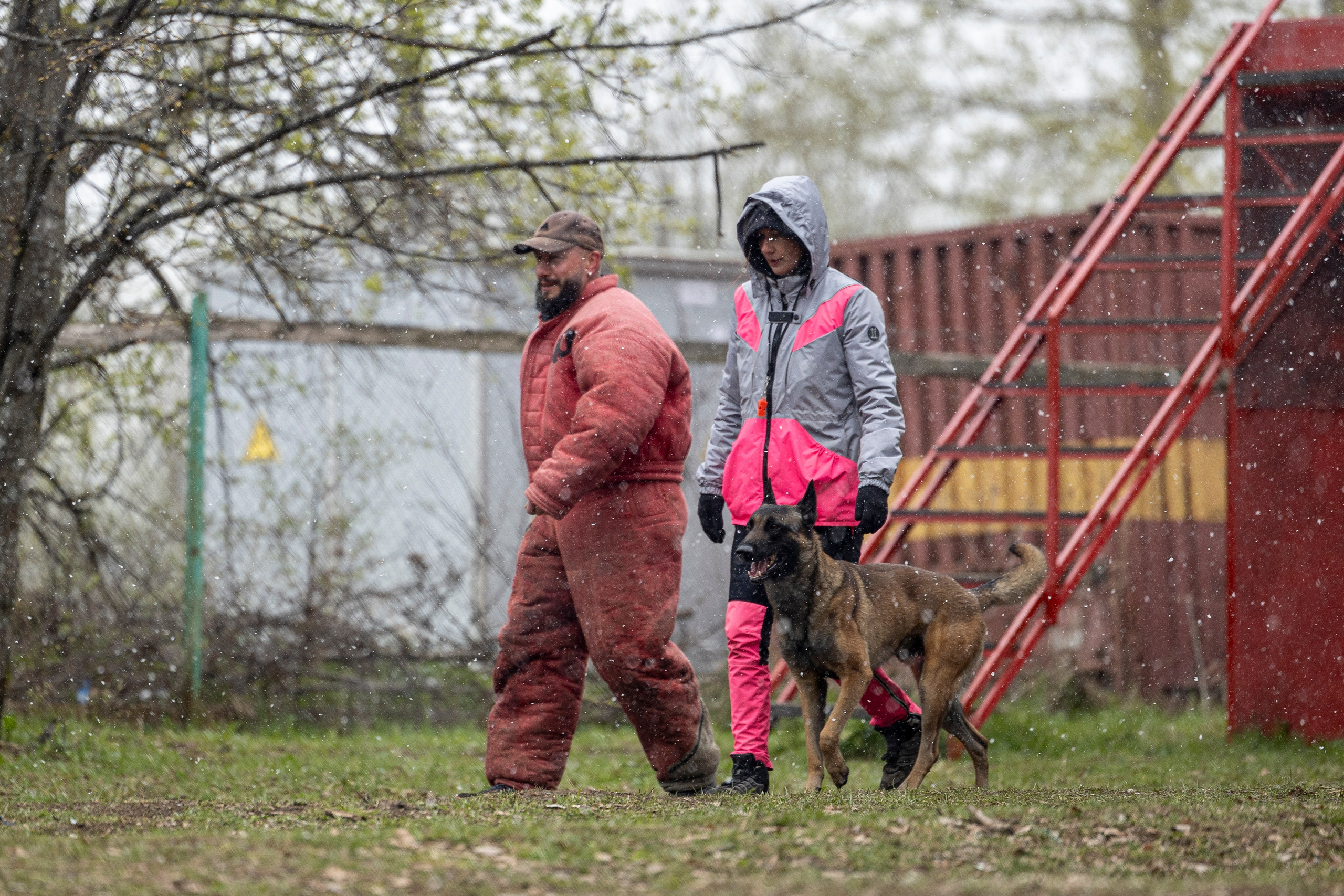 Квалификационные состязания по мондьорингу г. Вологда 11.05.24. Фотограф-анималист Анна Маринич