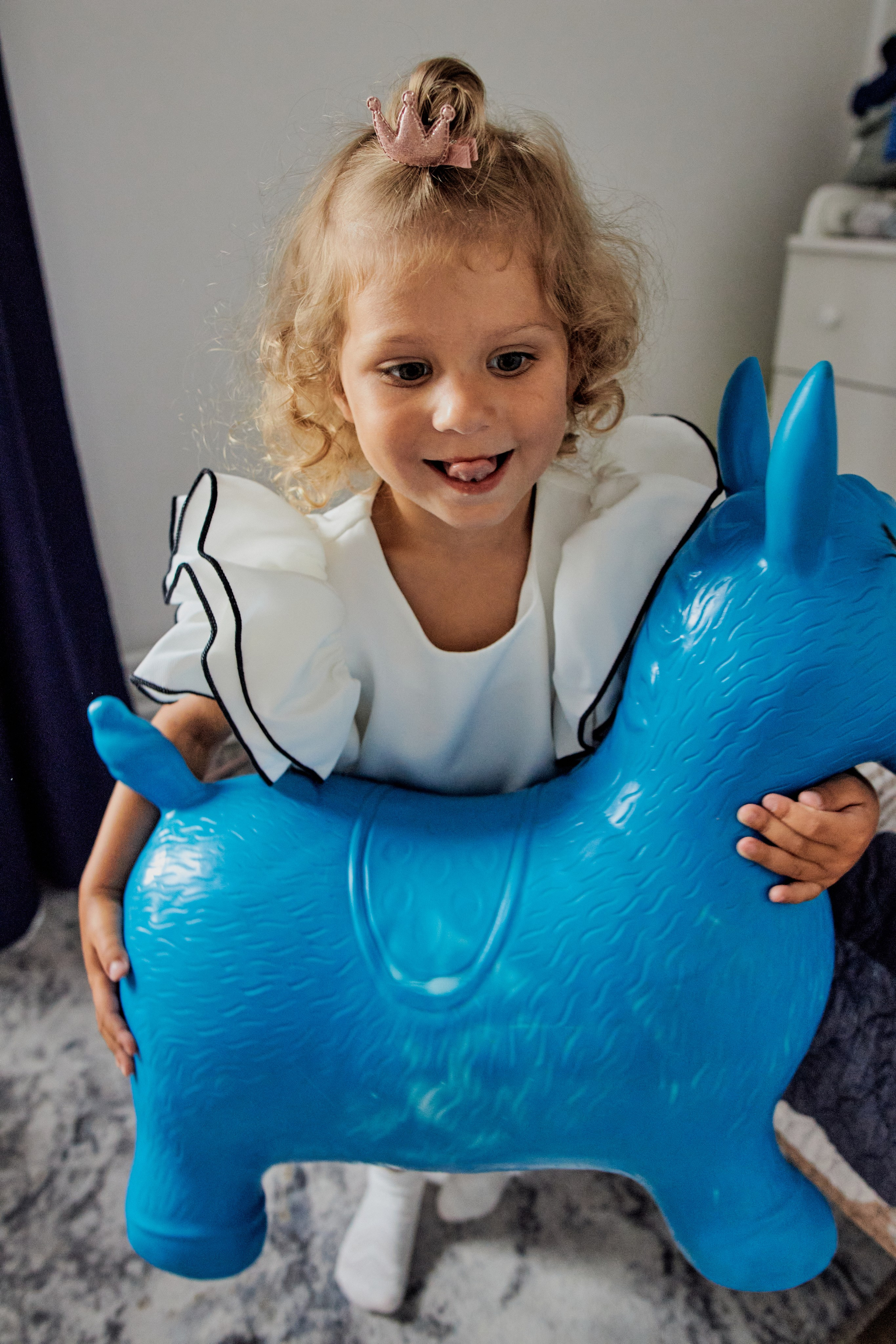 Три кота. Фотограф Москва