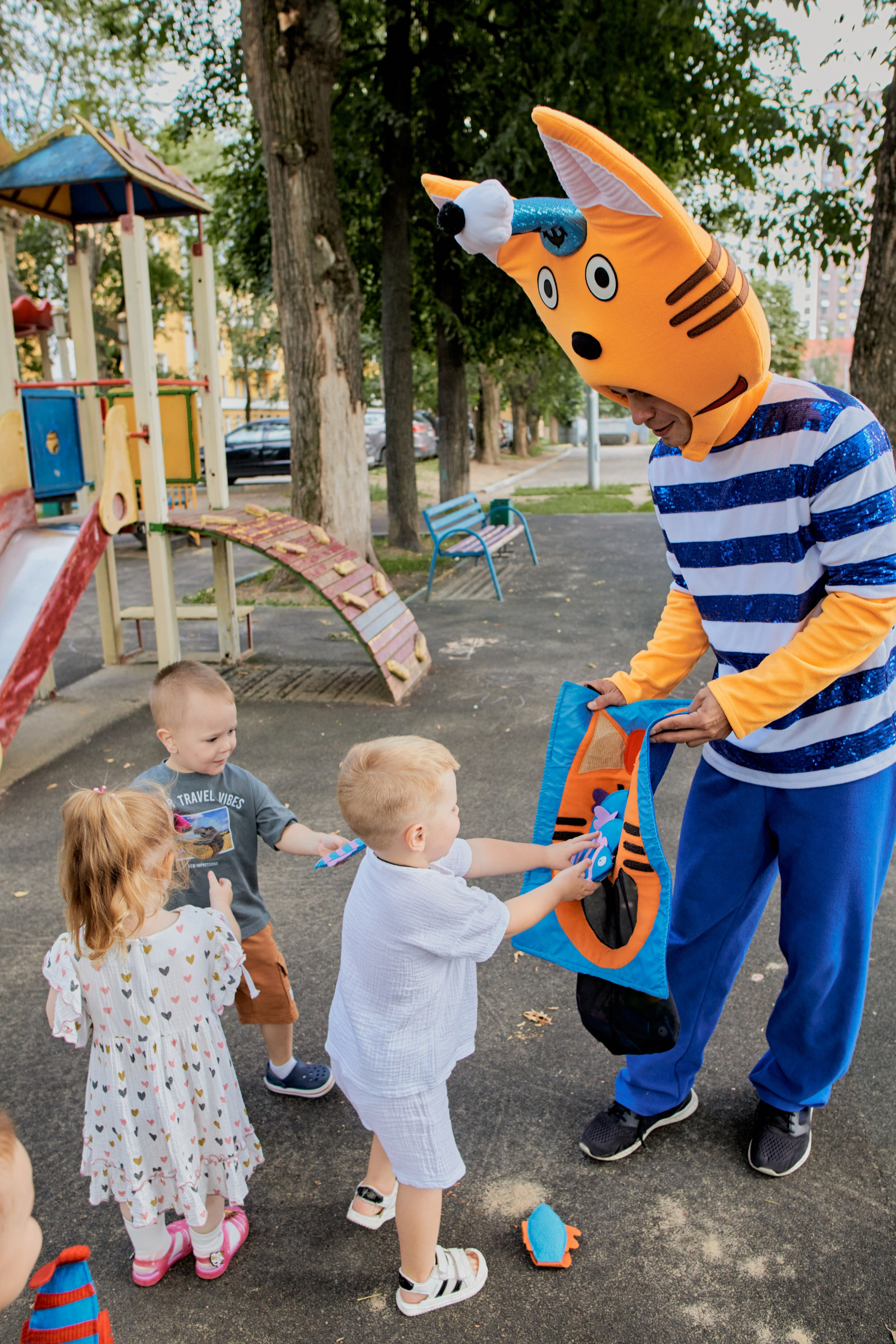 Три кота. Фотограф Москва