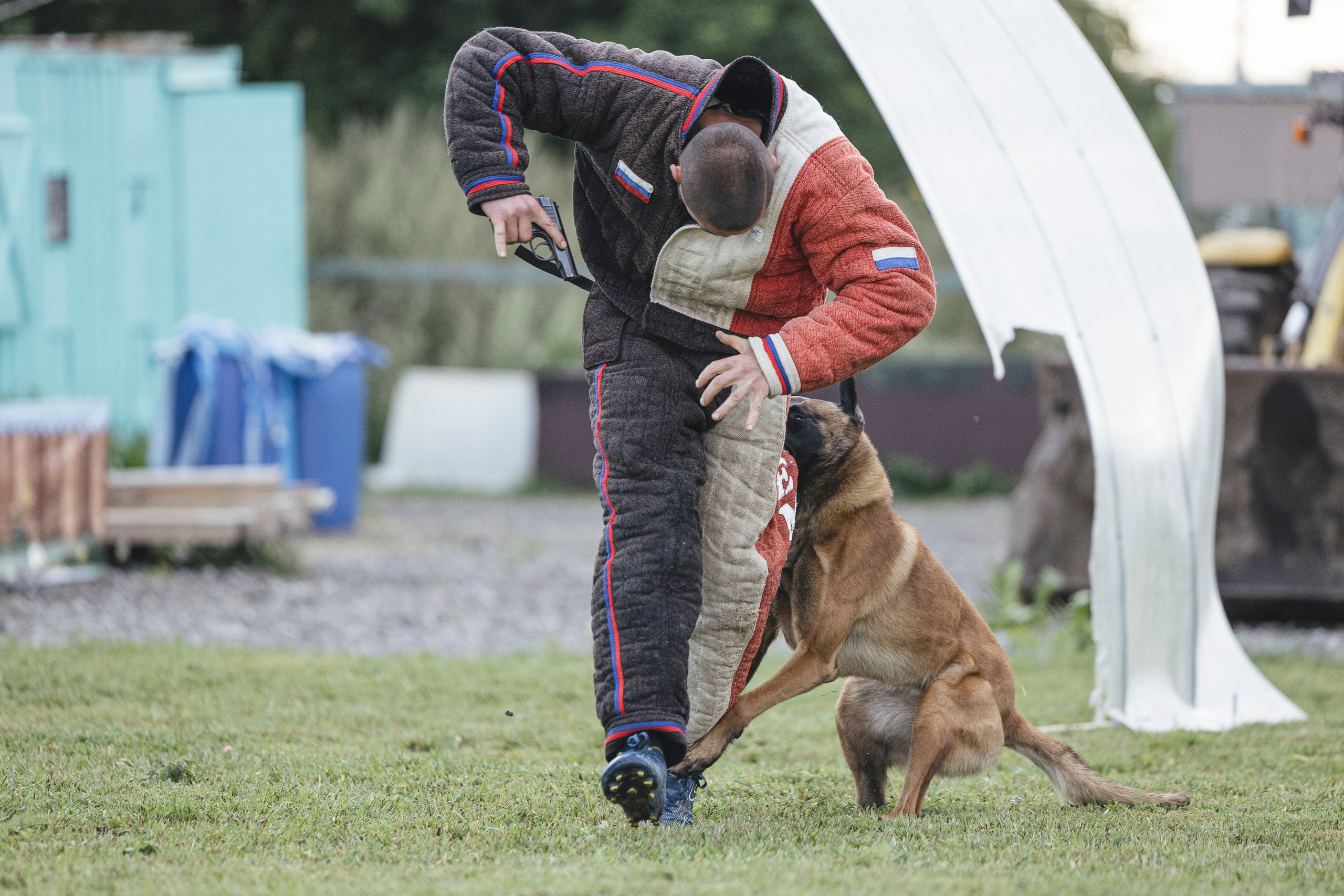 08.08.25-10.08.25 ЧР по мондьорингу г. Вологда. Фотограф-анималист Анна Маринич
