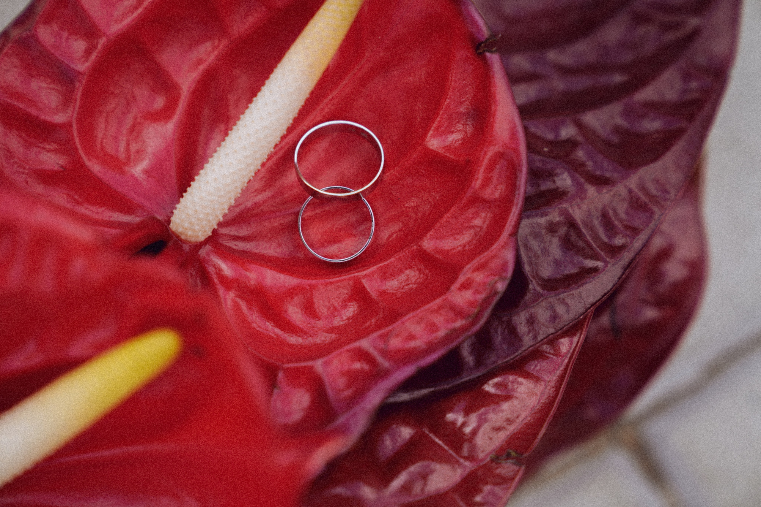 Александр и Дарья. Прогулка. (+ пленка). Свадебный и семейный фотограф Ястребова Маргарита