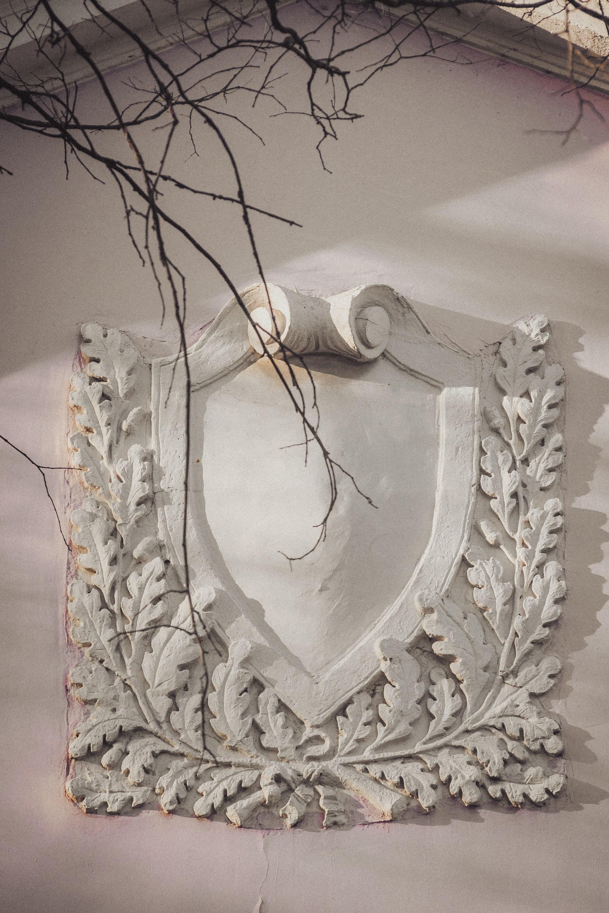 Проект #улицыгорода. Ярославль, ул. Карла Либкнехта. Документальный фотограф Илья Тихановский