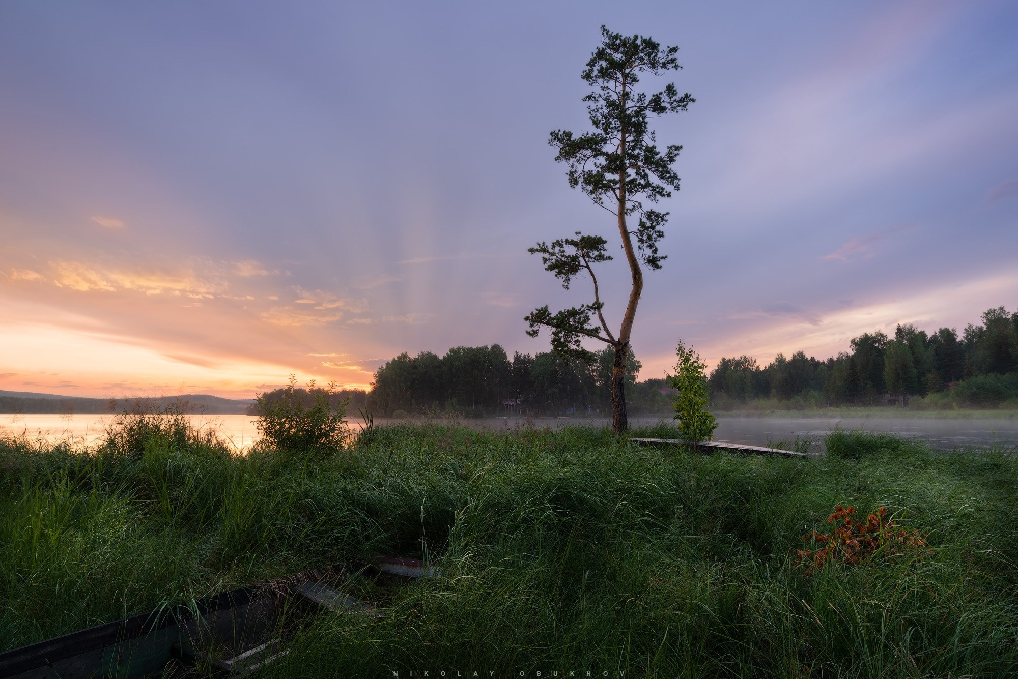 Фото пейзажа с деревом и лодкой на берегу тихого пруда на закате.