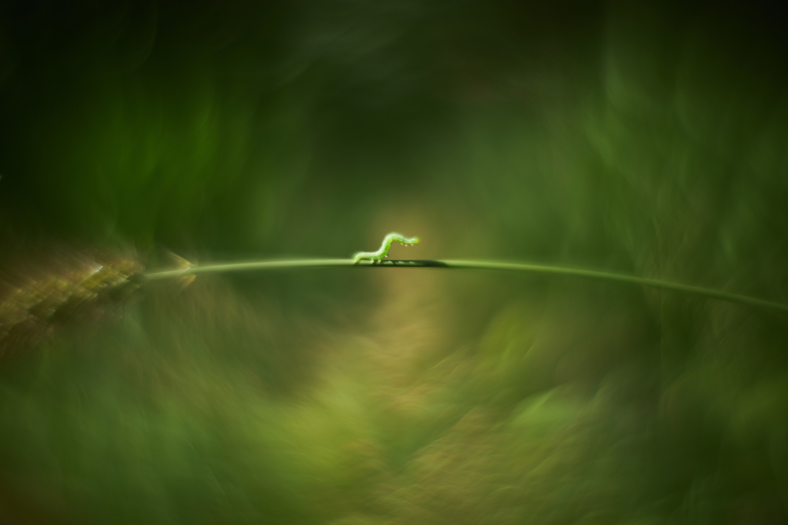 Арт-фотограф во Владивостоке Дмитрий Осипчук