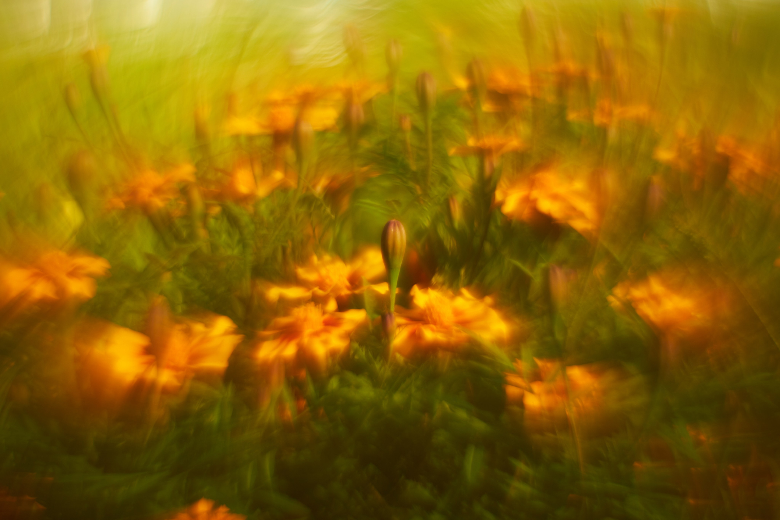 Арт-фотограф во Владивостоке Дмитрий Осипчук