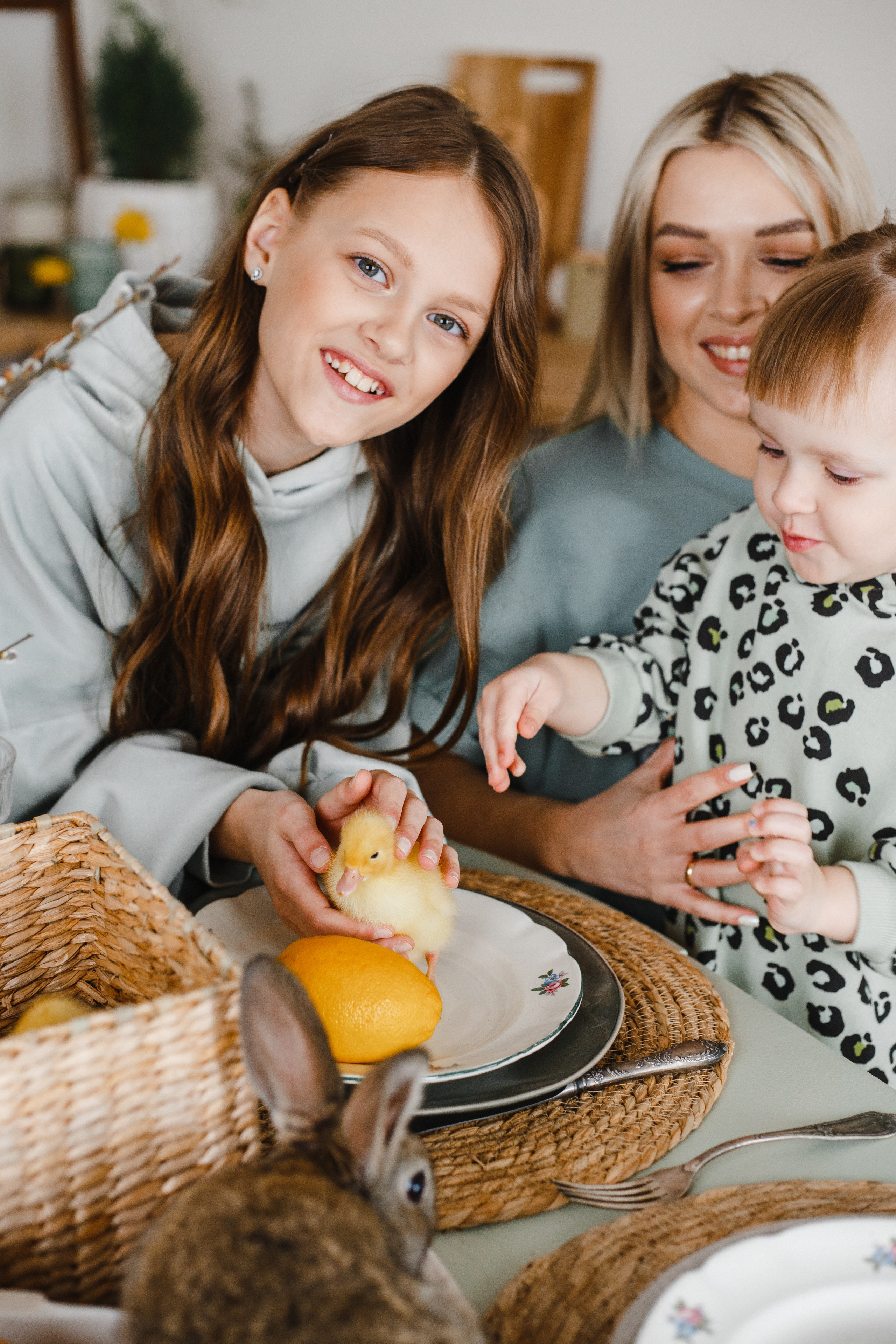 Family. Главная