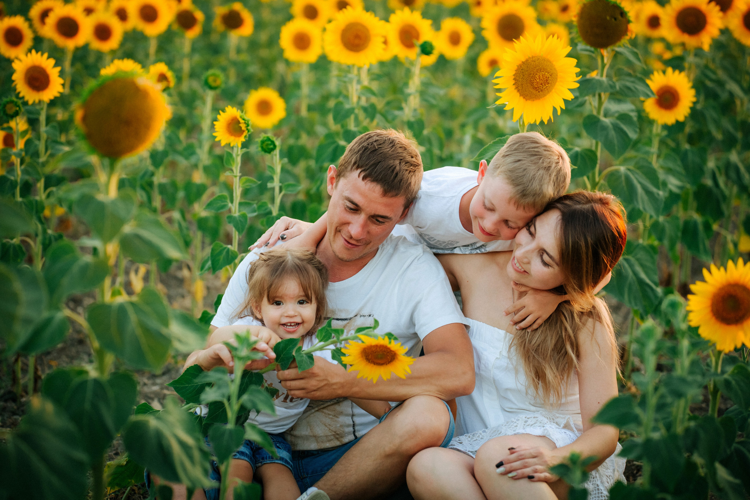 Подсолнухи!. Семейный, детский, свадебный, фотограф в городе Анапа