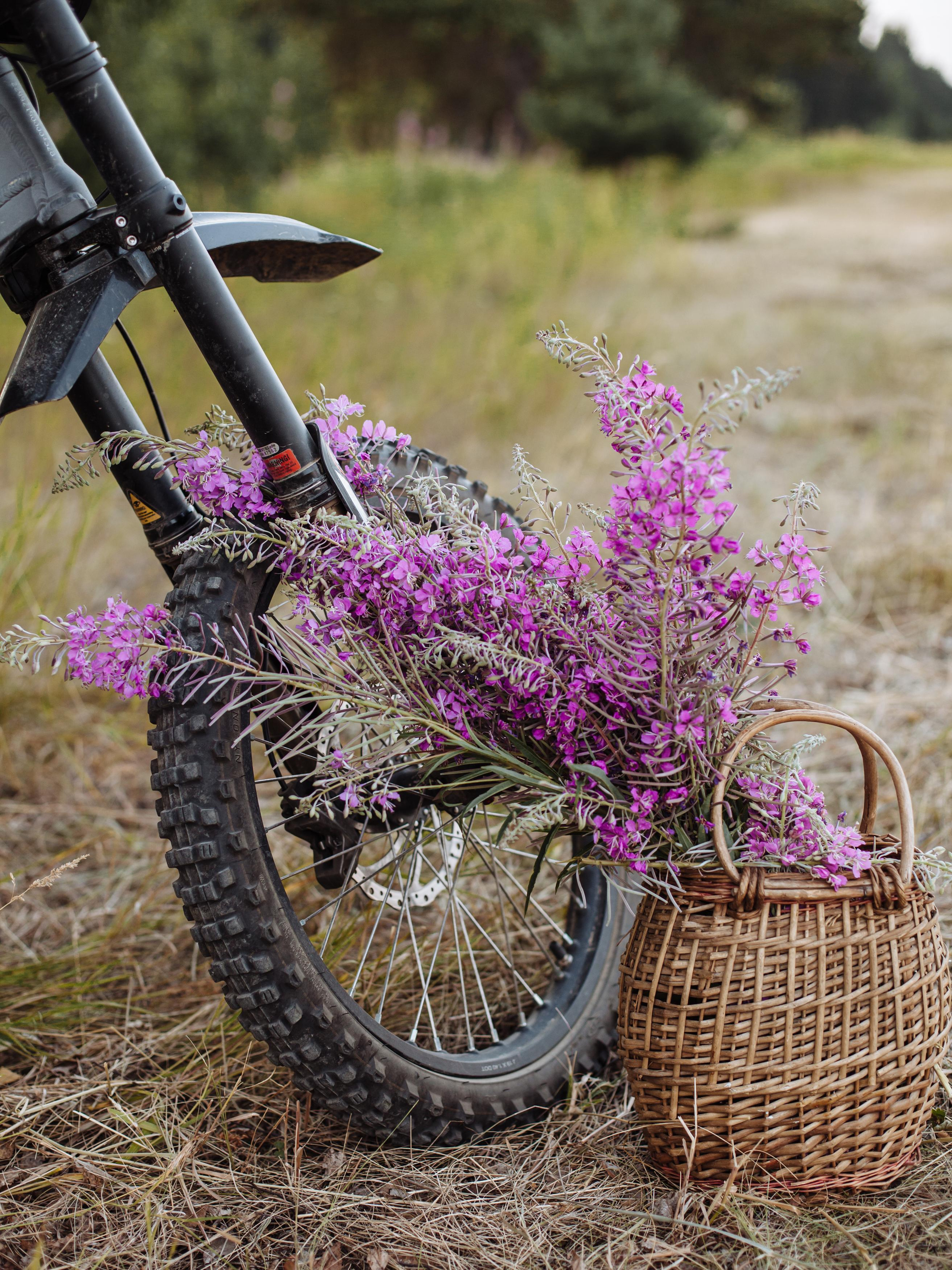 Ян и Алёна, фотосессия в Истоке. Семейный фотограф Трусова Евгения в Екатеринбурге
