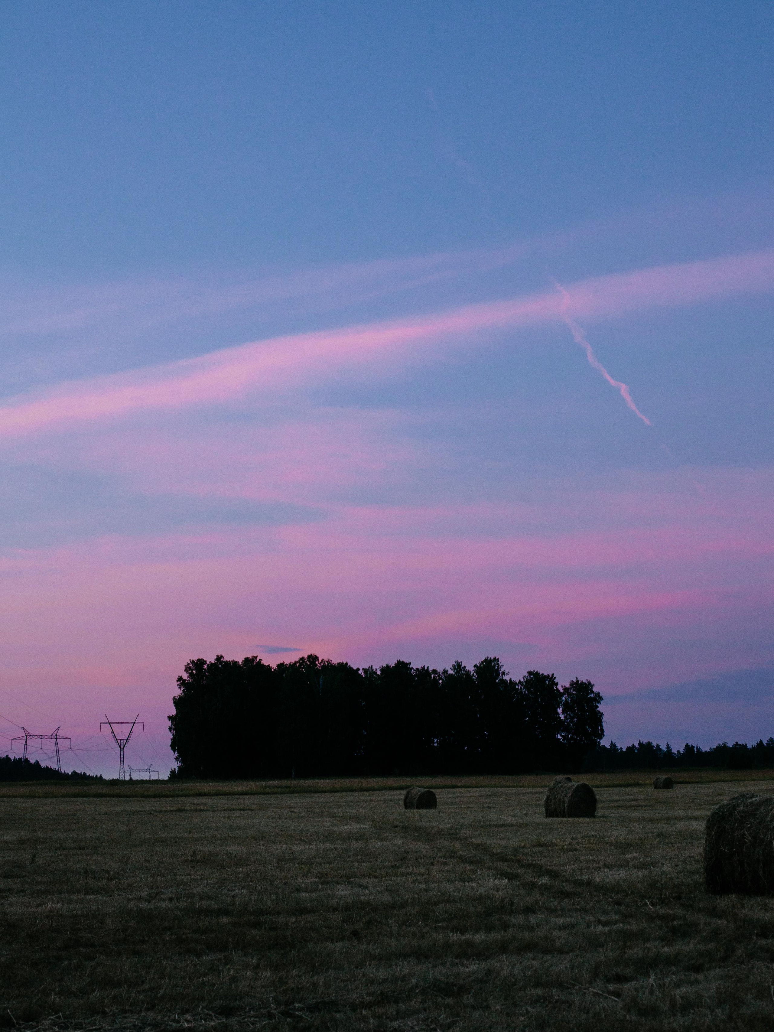Ян и Алёна, фотосессия в Истоке. Семейный фотограф Трусова Евгения в Екатеринбурге
