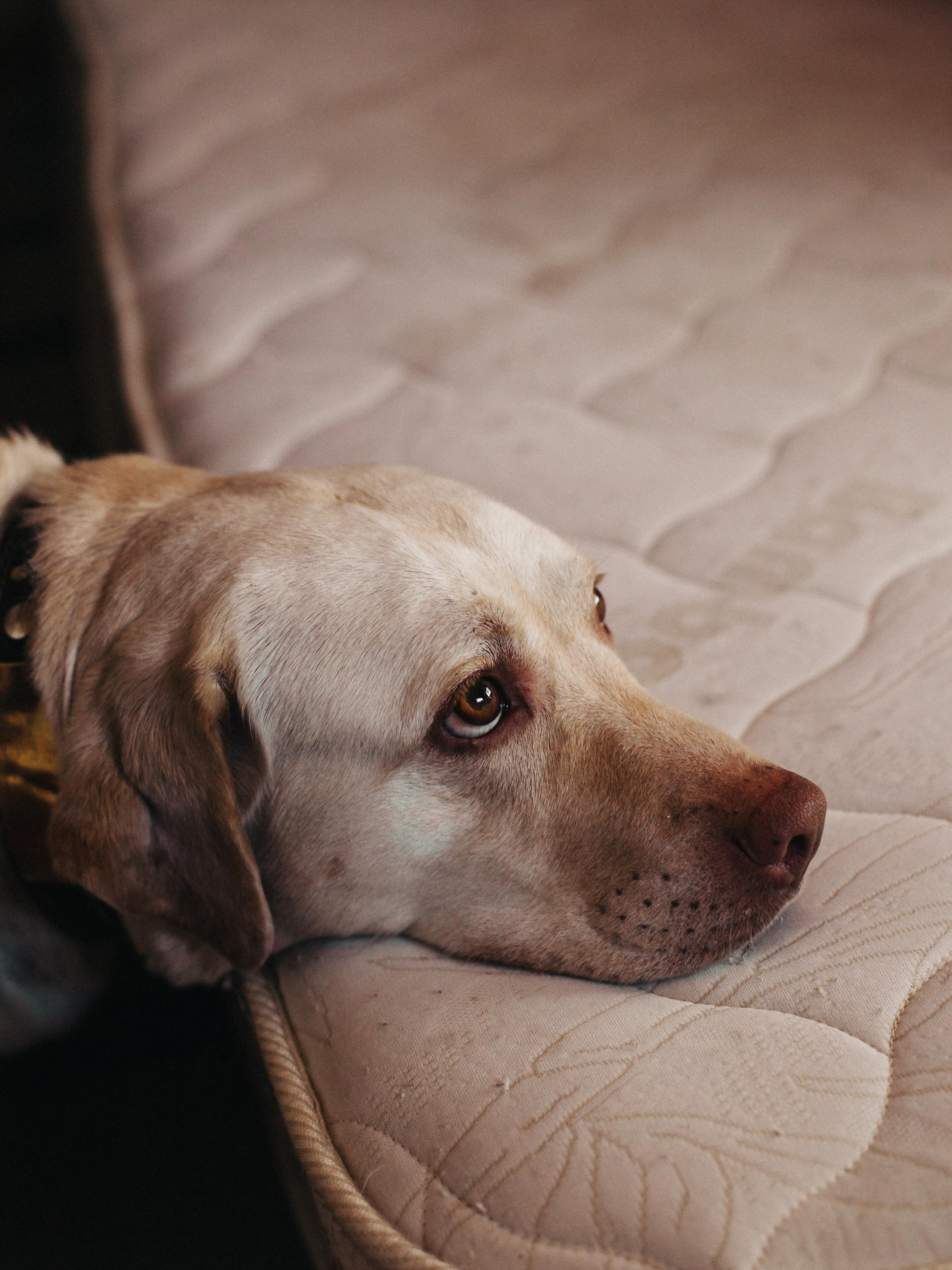 Семейные фотосессии. Семейный фотограф Трусова Евгения в Екатеринбурге