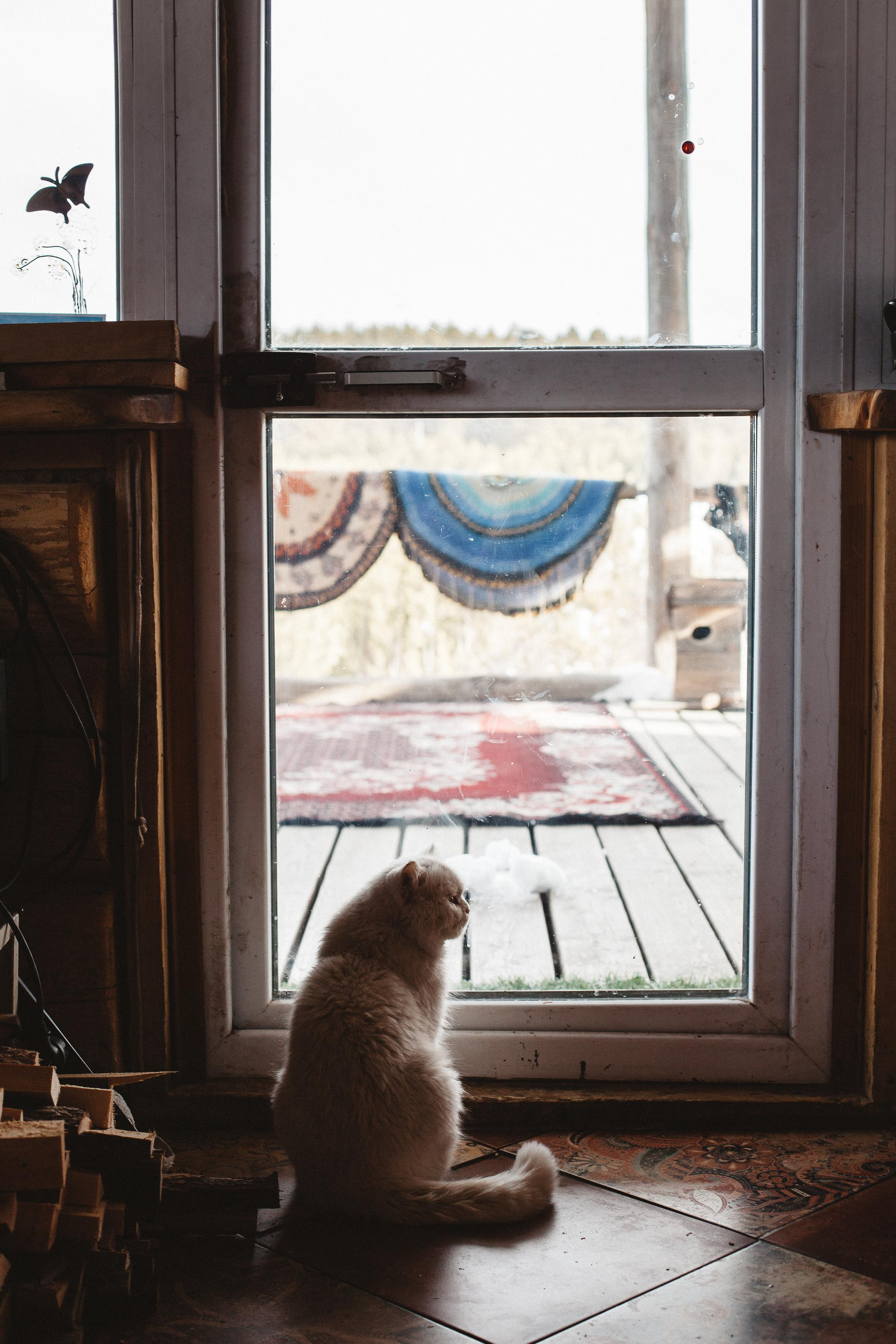 Семейные фотосессии. Семейный фотограф Трусова Евгения в Екатеринбурге