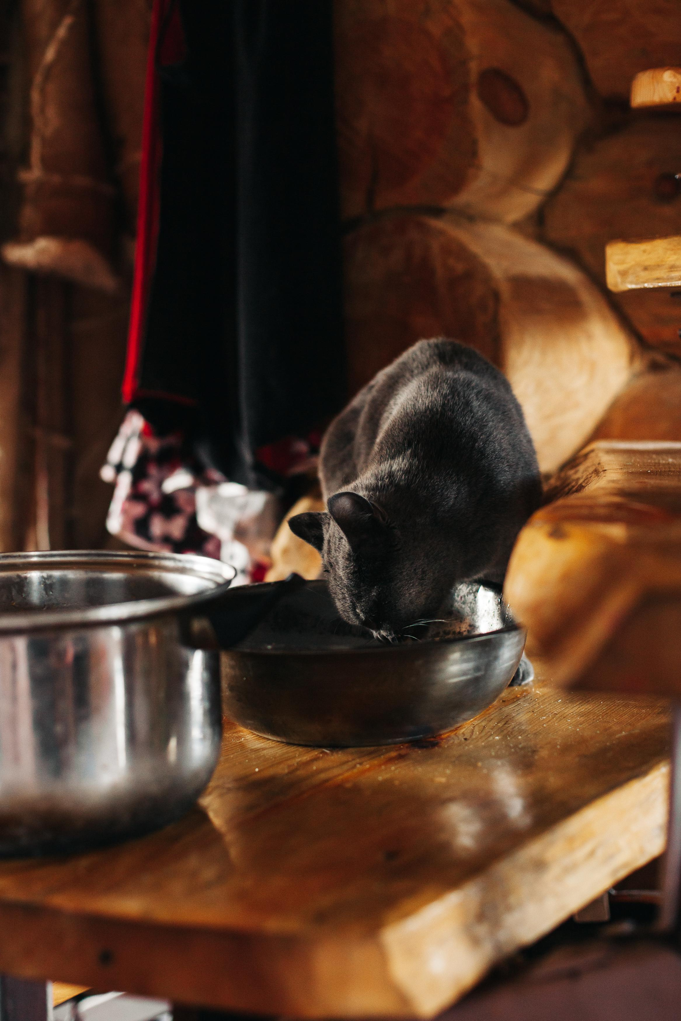 Семейные фотосессии. Семейный фотограф Трусова Евгения в Екатеринбурге