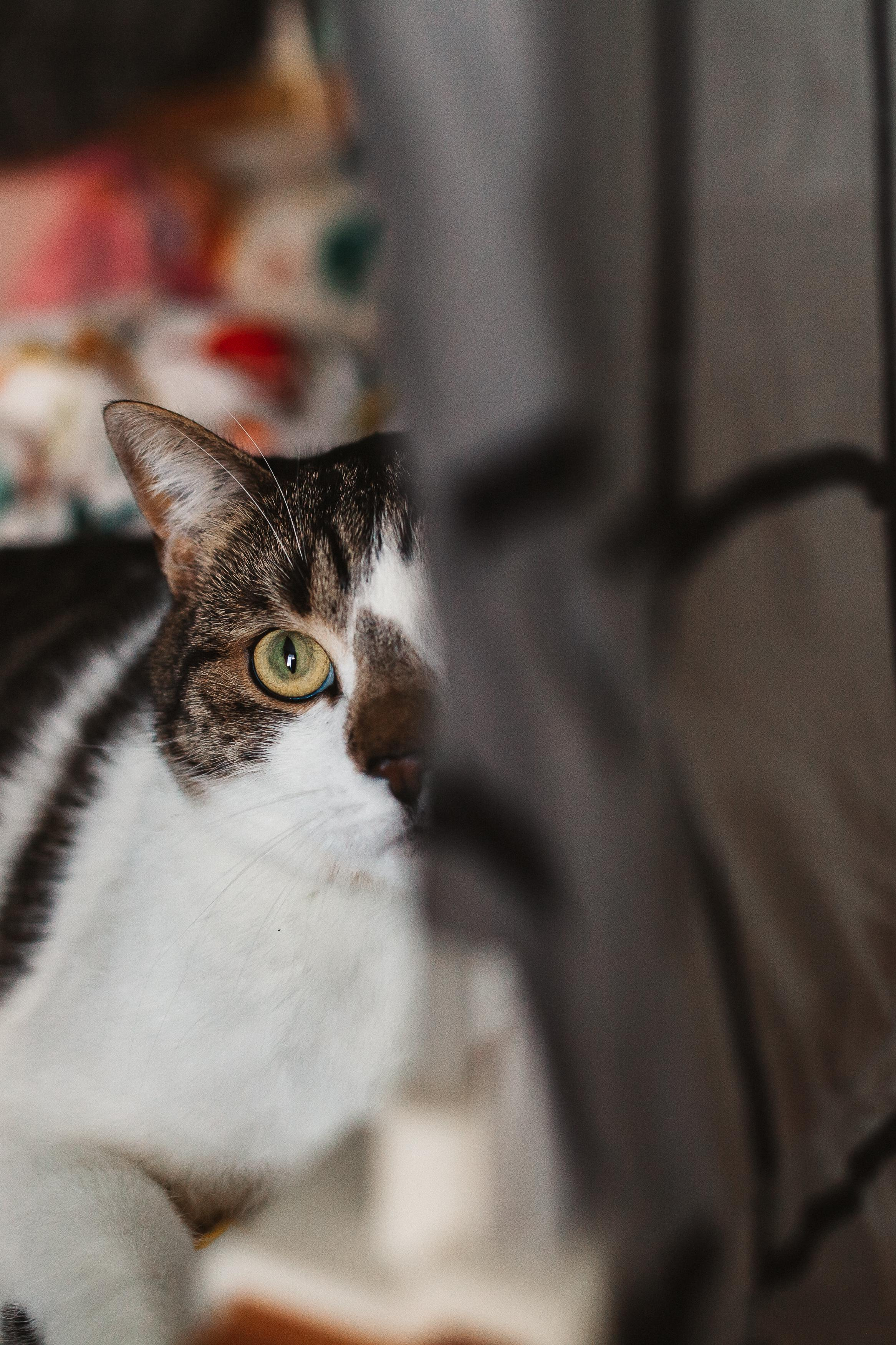 Сергей, Мария и Ксюша. Семейная фотосессия дома 2.03.2022 г. Семейный фотограф Трусова Евгения в Екатеринбурге