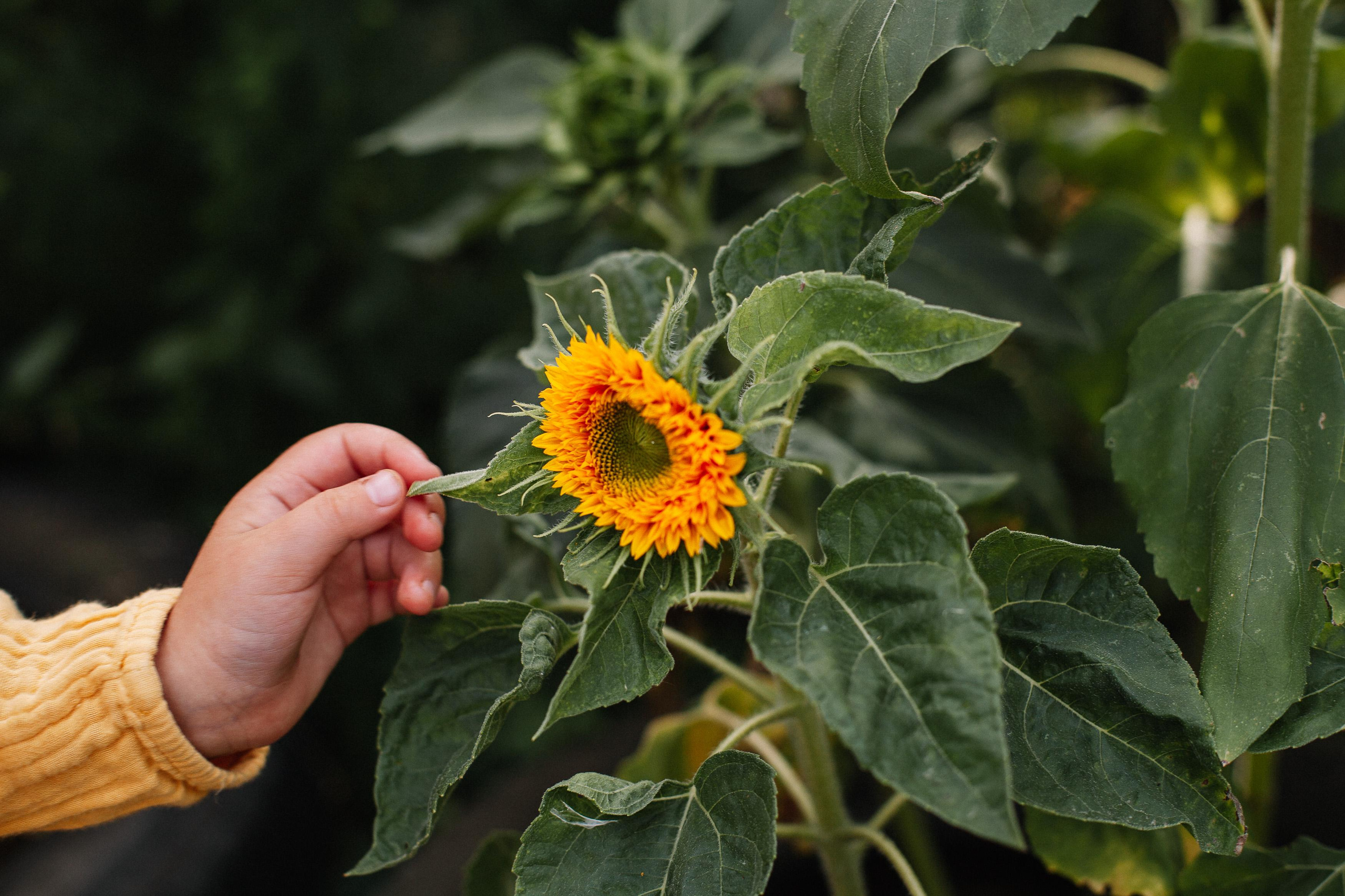 Виталий, Аня, Маруся и Лёша, съемка на даче. Семейный фотограф Трусова Евгения в Екатеринбурге