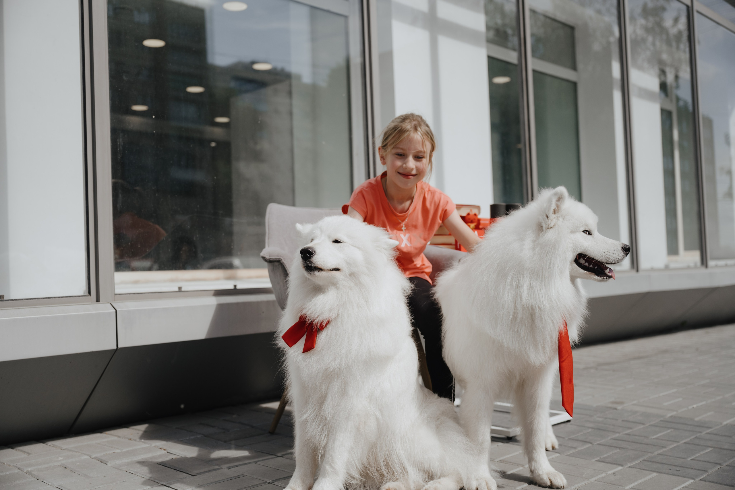 Альфа банк Карла Маркса 55. Фотограф Кристина Тумаева. Самоед Новосибирск
