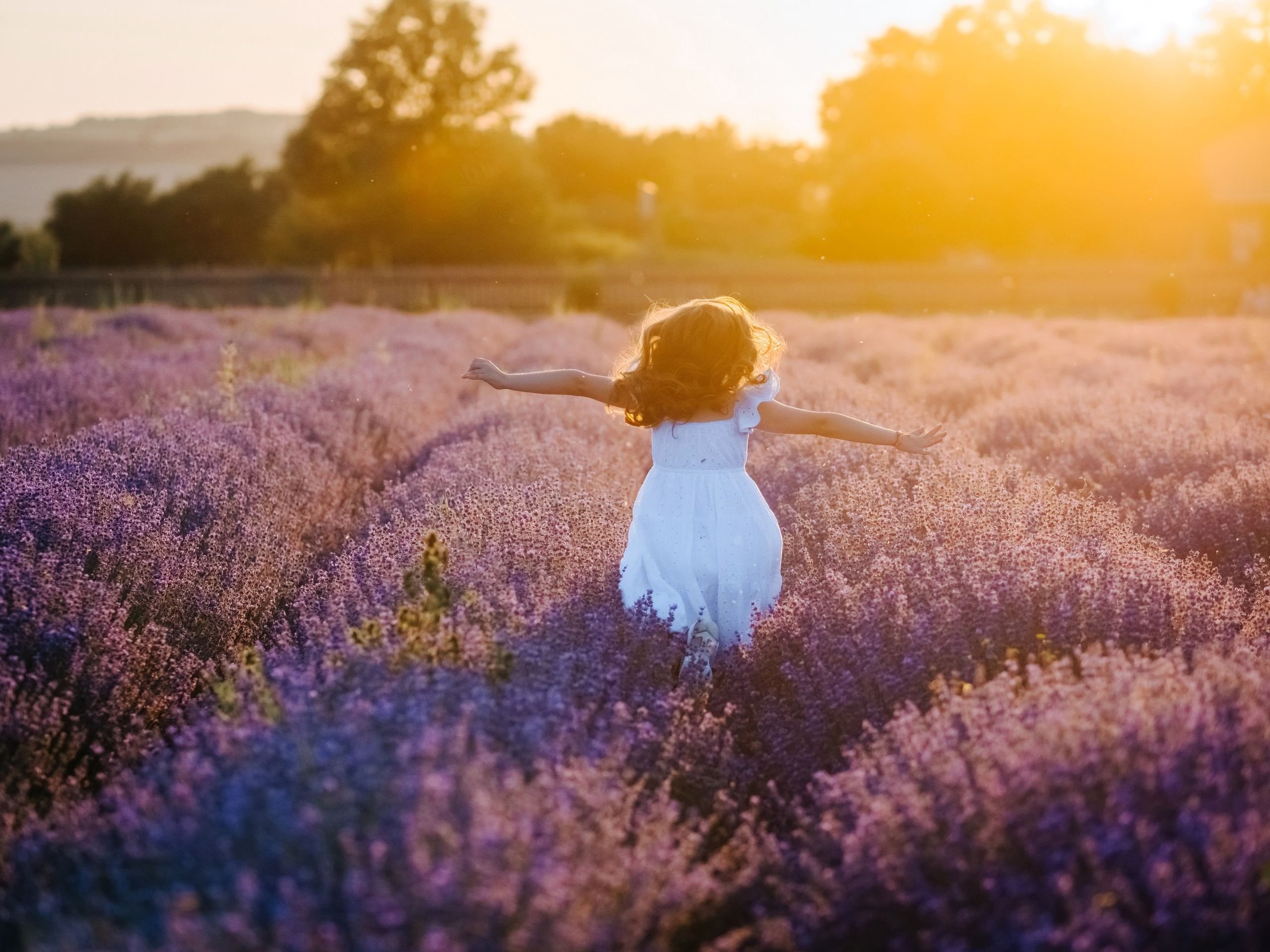 Lavender. Семейный, детский, свадебный, фотограф в городе Анапа