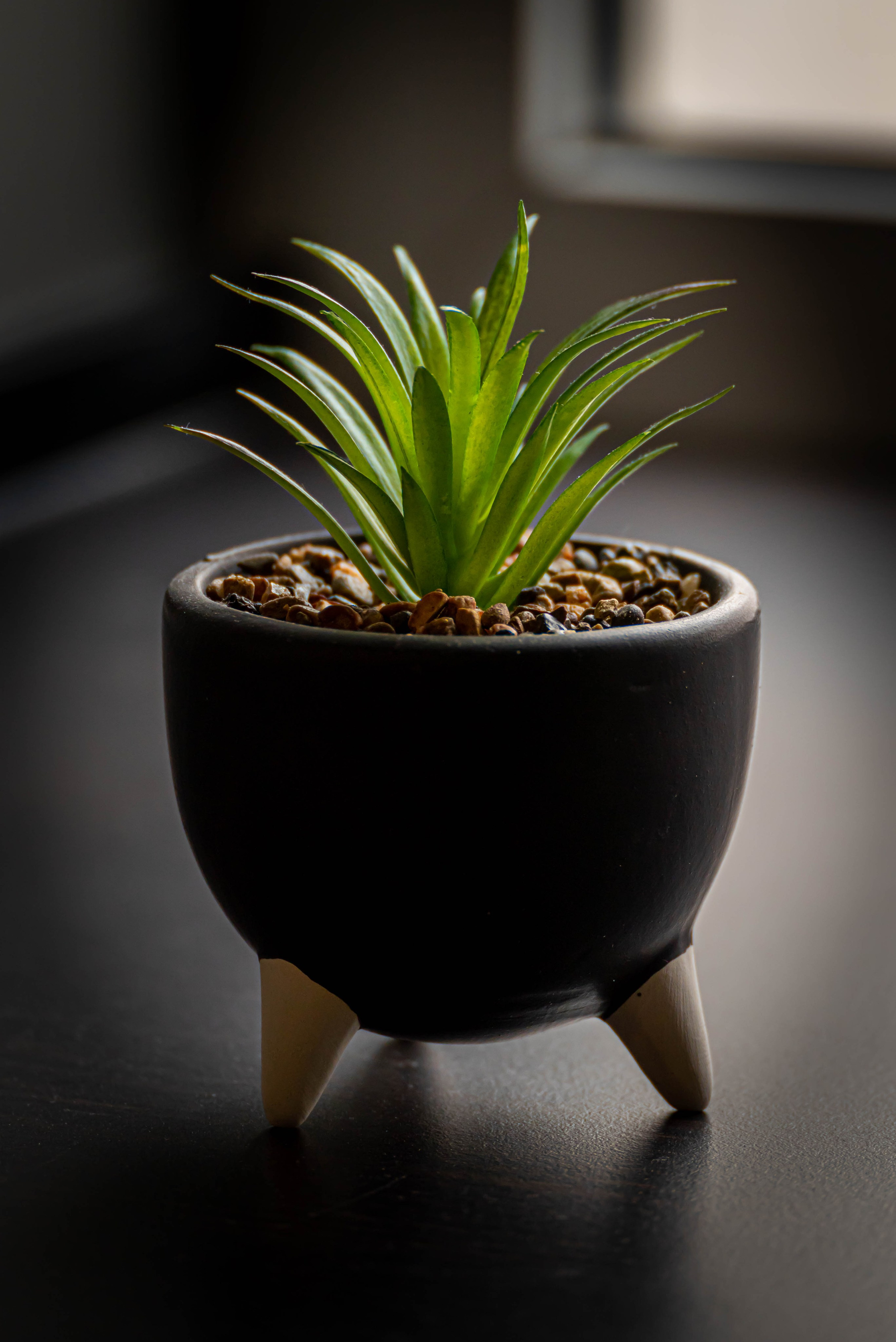 Другие работы. Фуд-фотограф в Кирове Антон Андреев