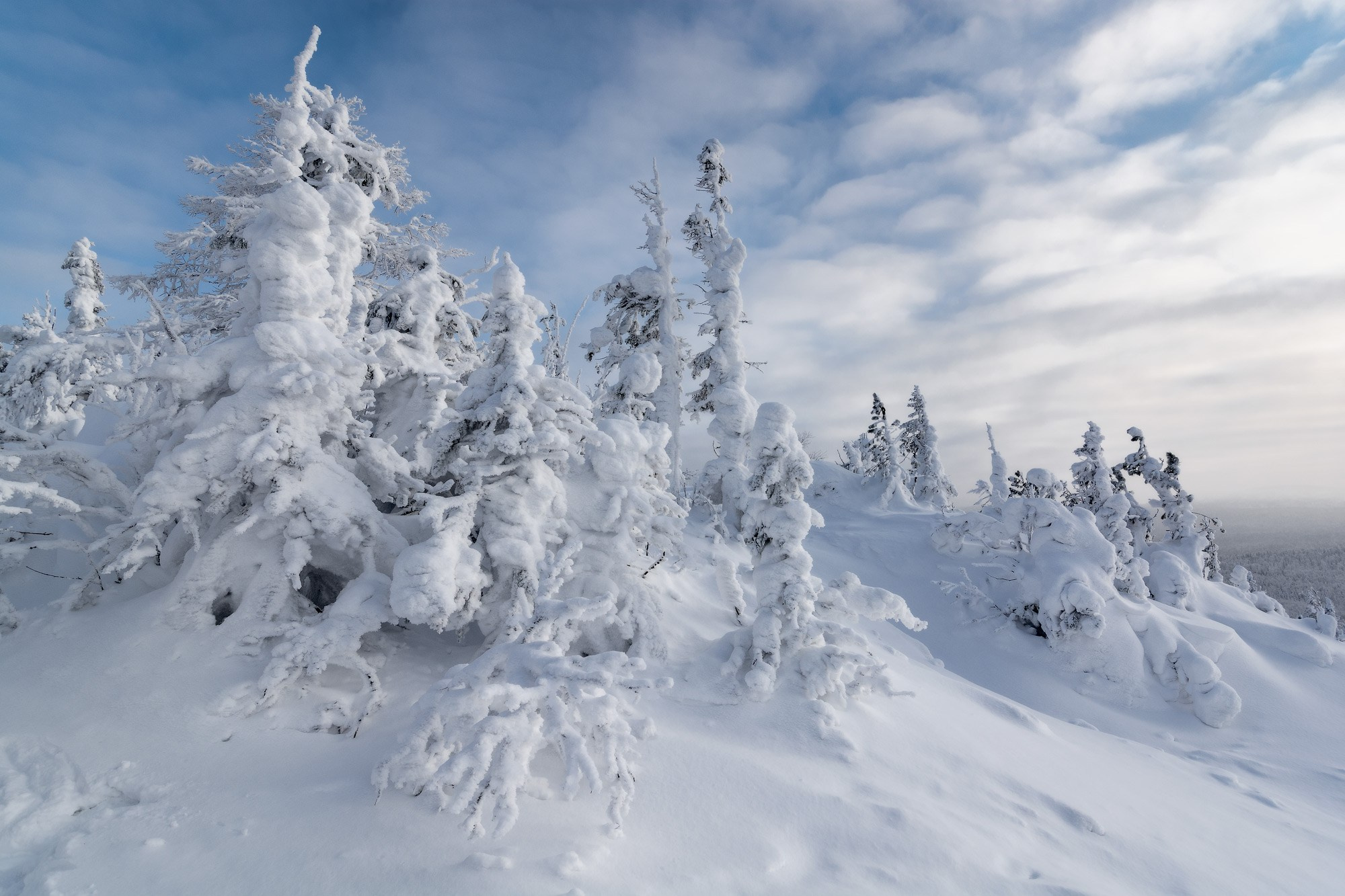 Снежный зимний пейзаж Уральских гор с видом на заснеженные ели и морозное небо.