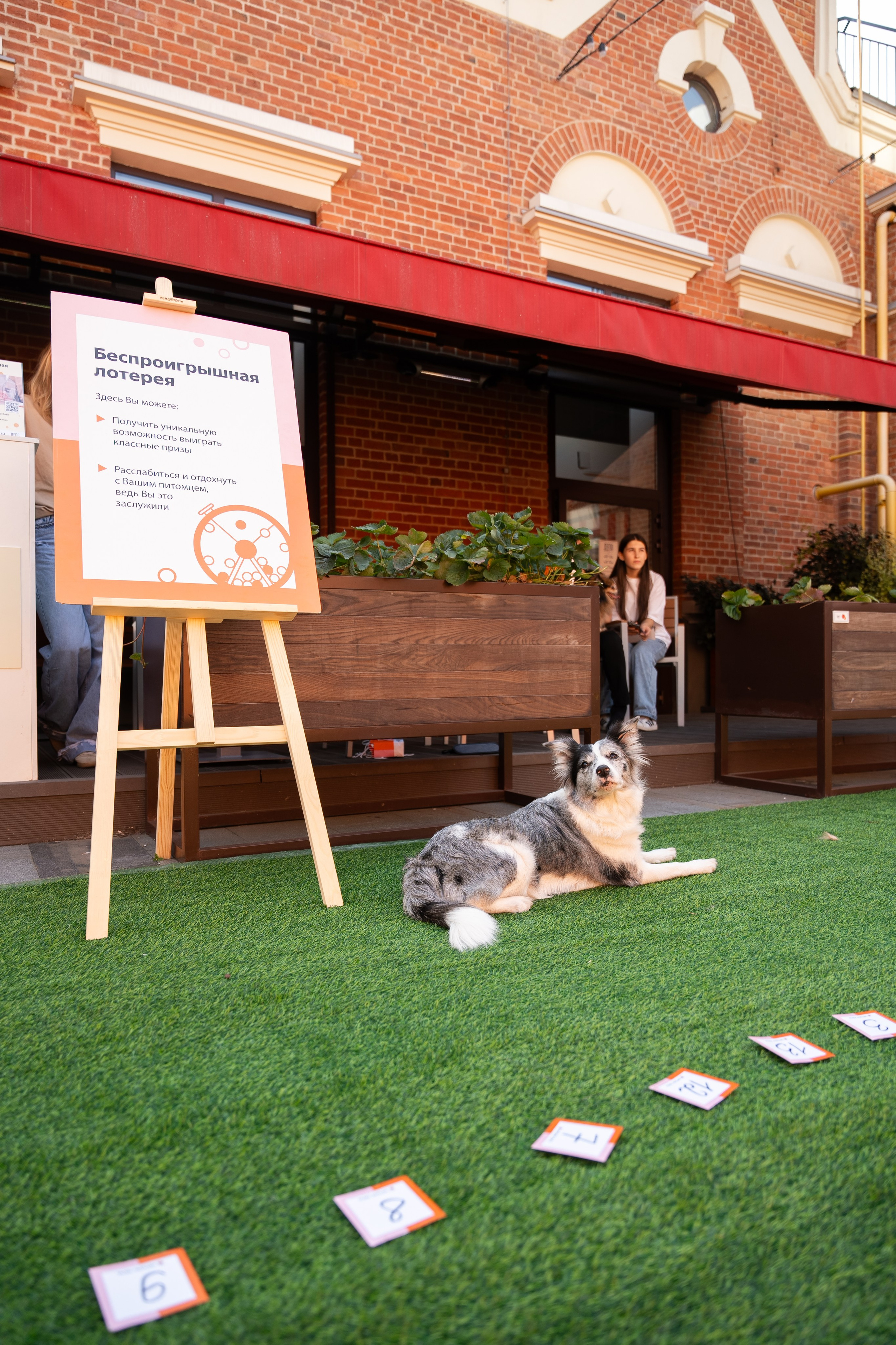 Репортажная съёмка. Фотограф Юлия Восходова