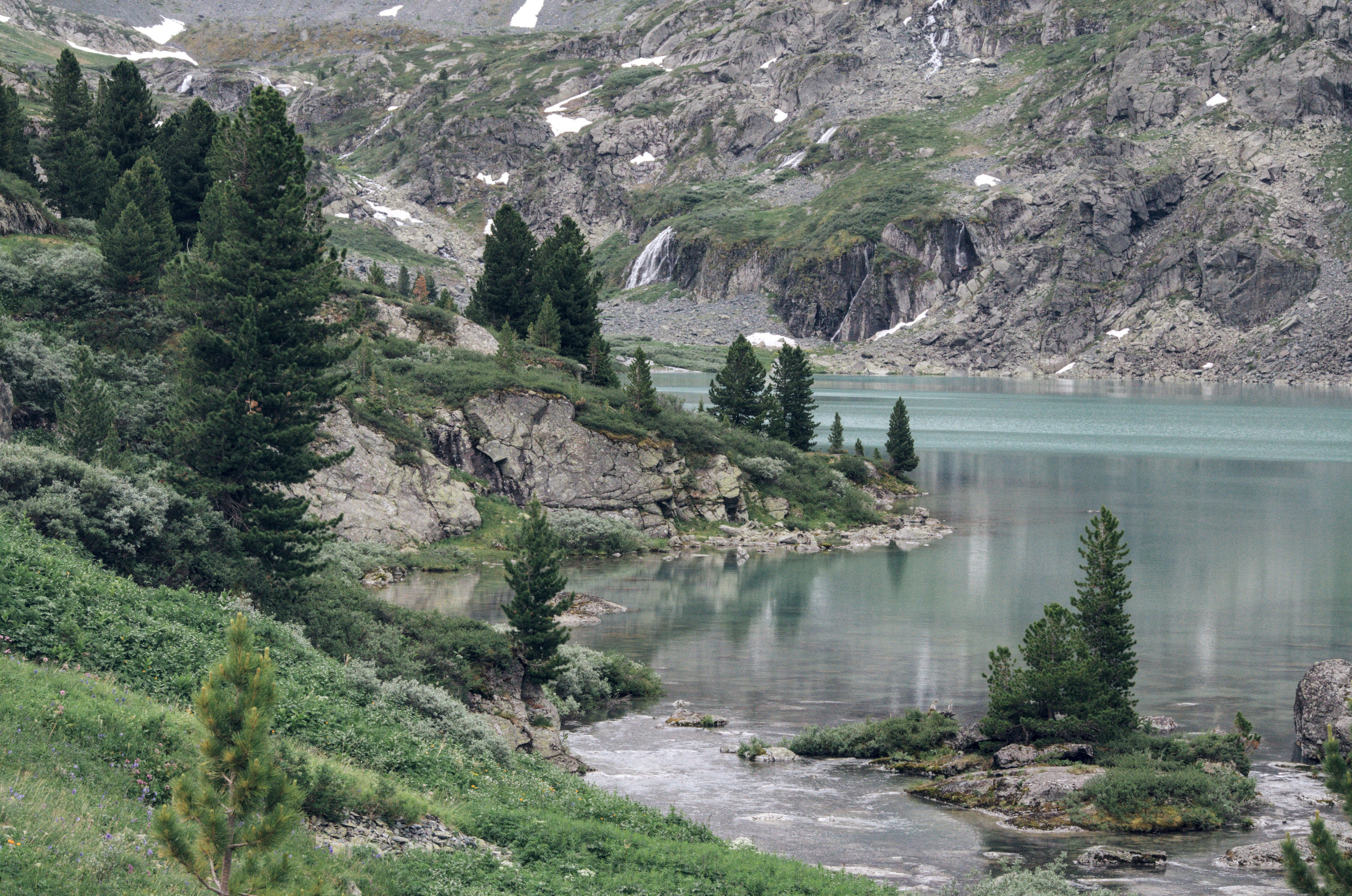 Алтай. Фотограф анималист, пейзажист, спортивные мероприятия. Новосибирск