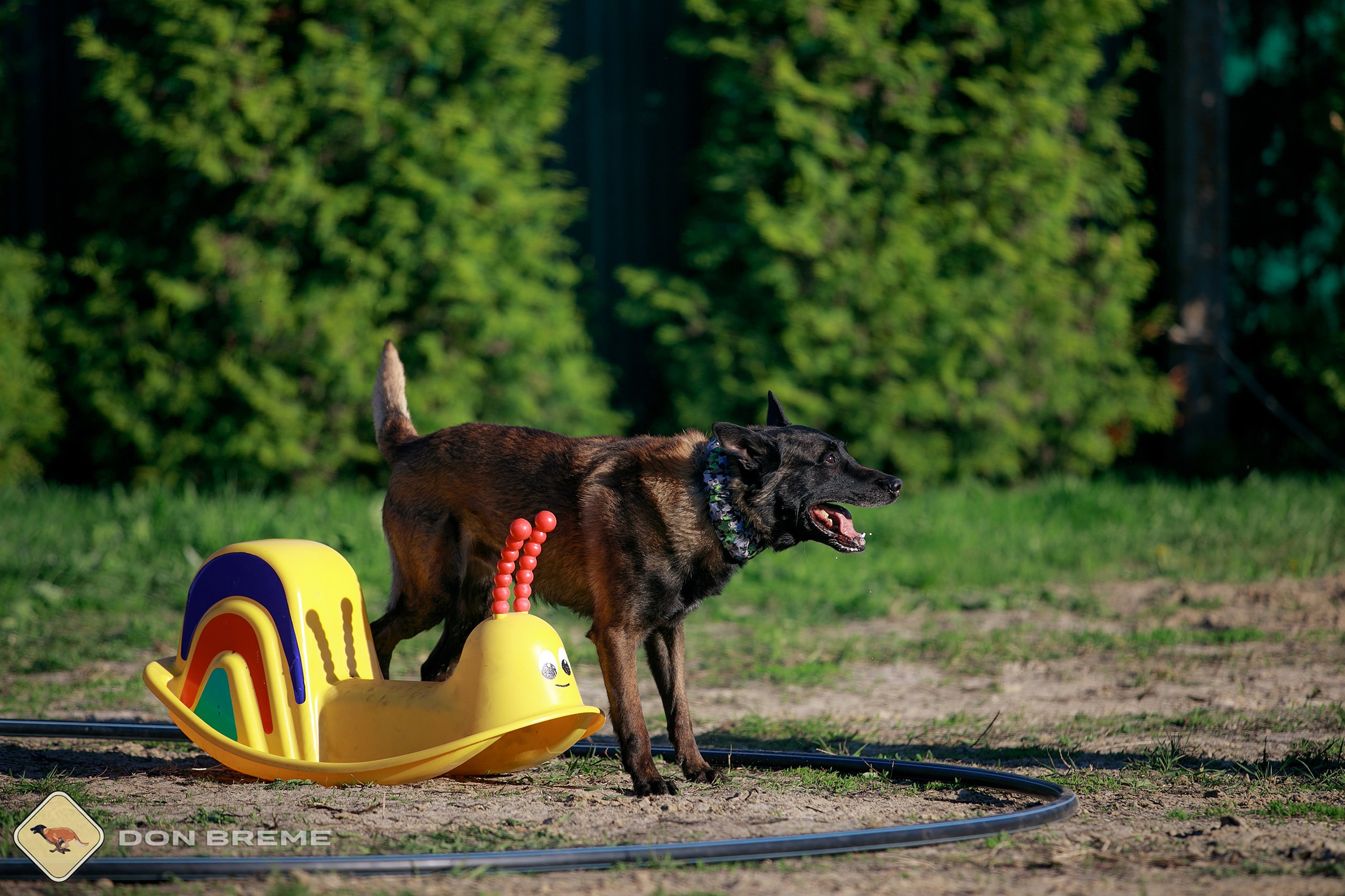Семинар для фигурантов, день 3. Фотограф-анималист Mary Mart — Москва, Питер