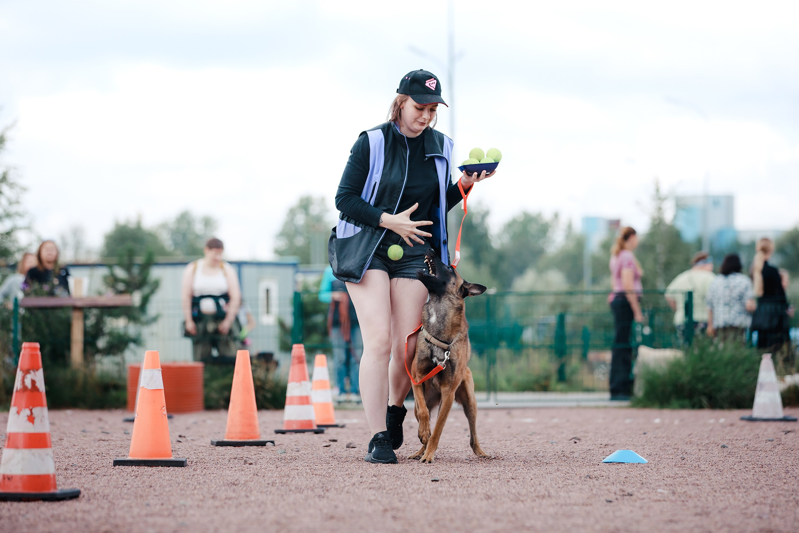 Питч&Гоу + веселые старты. Фотограф-анималист Mary Mart — Москва, Питер