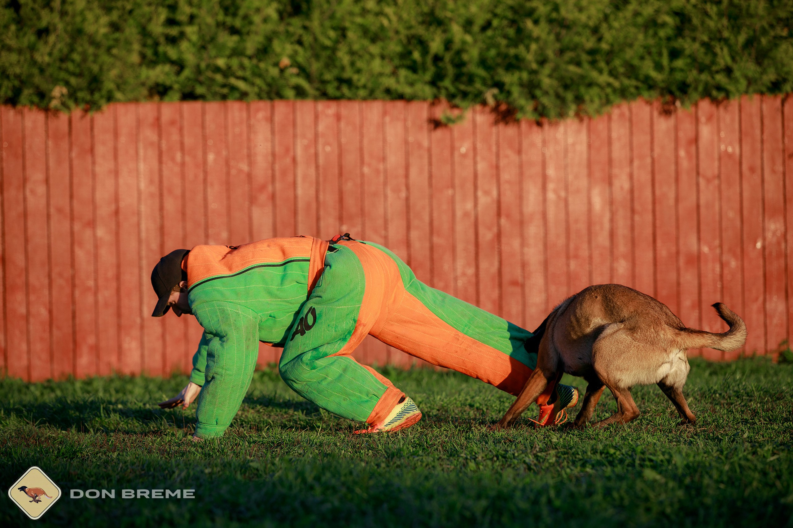 Семинар для фигурантов, день 3. Фотограф-анималист Mary Mart — Москва, Питер