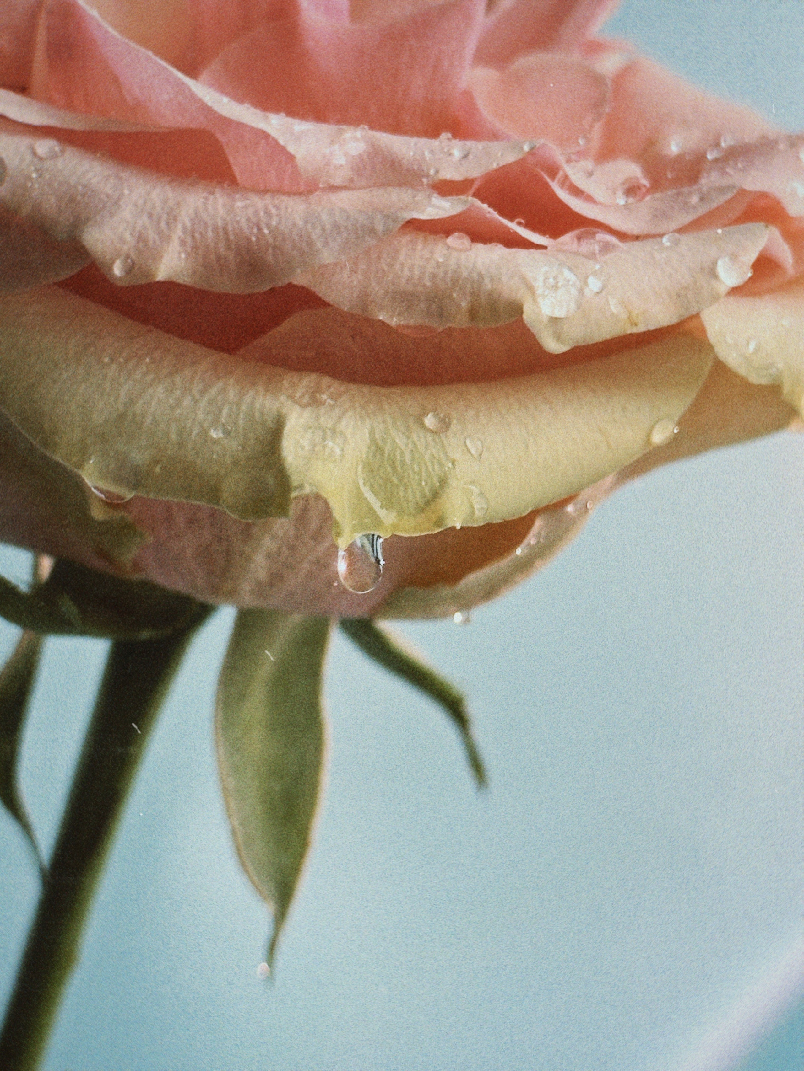 Предметная съёмка. Чувственный мобильный фотограф в Казани и Сочи Дьяченко Дарья