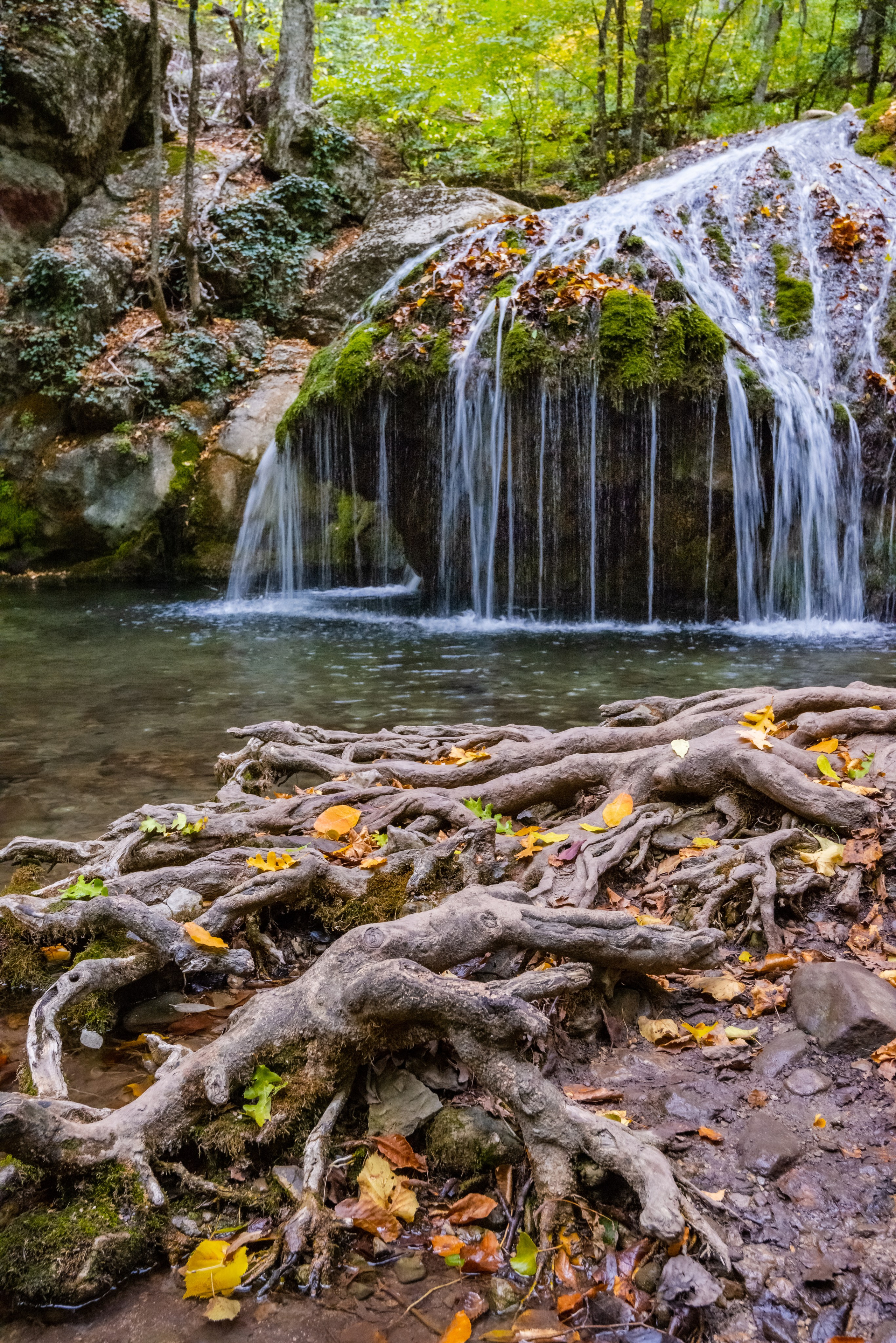Путешествие по южному берегу Крыма в начале осени. Пейзажный фотограф Сергей Пестерев. Фото природы