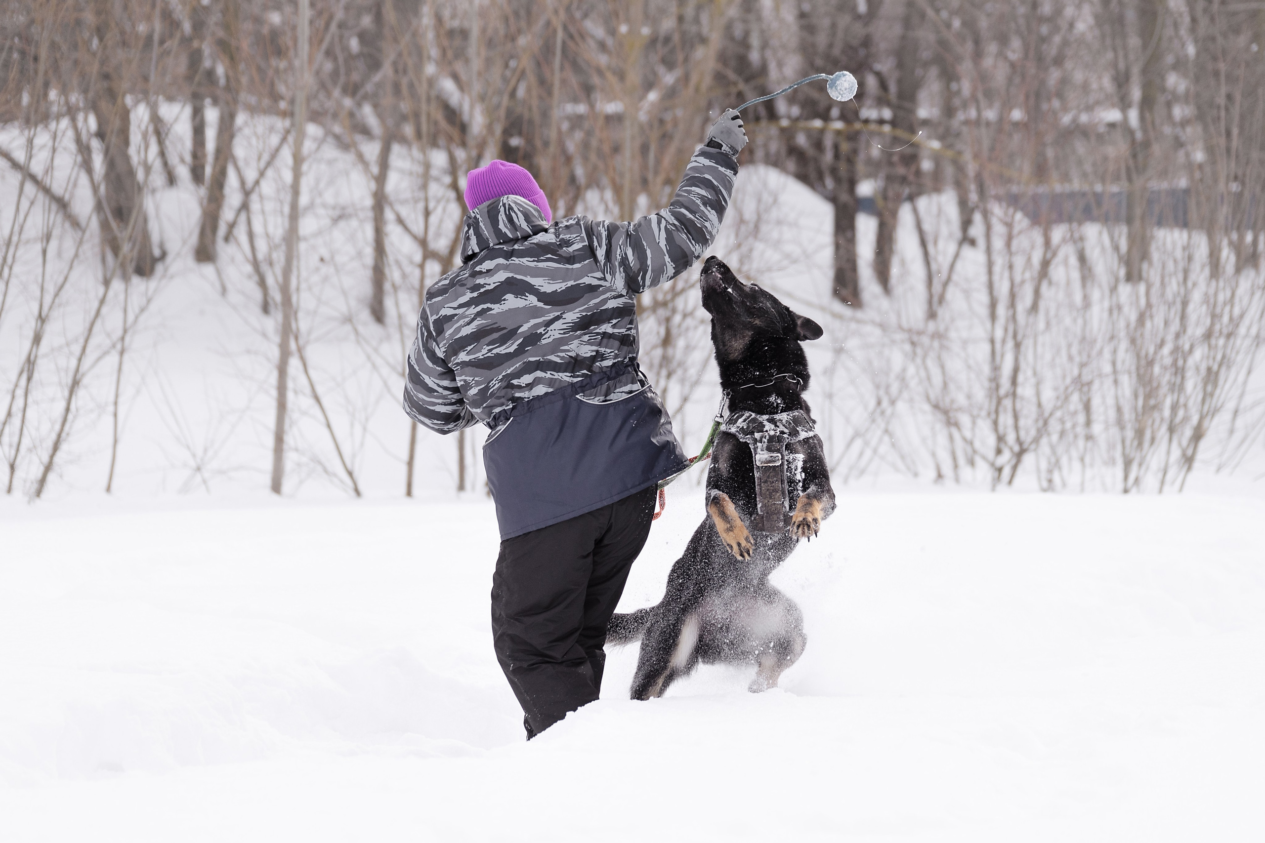 Репортажная съемка. Фотограф-анималист Нижний Новгород