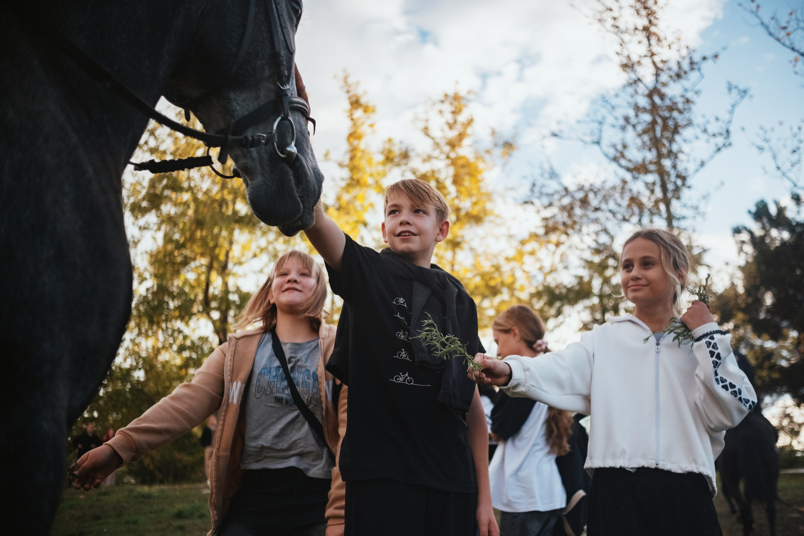 Репортаж. Kunchiy_