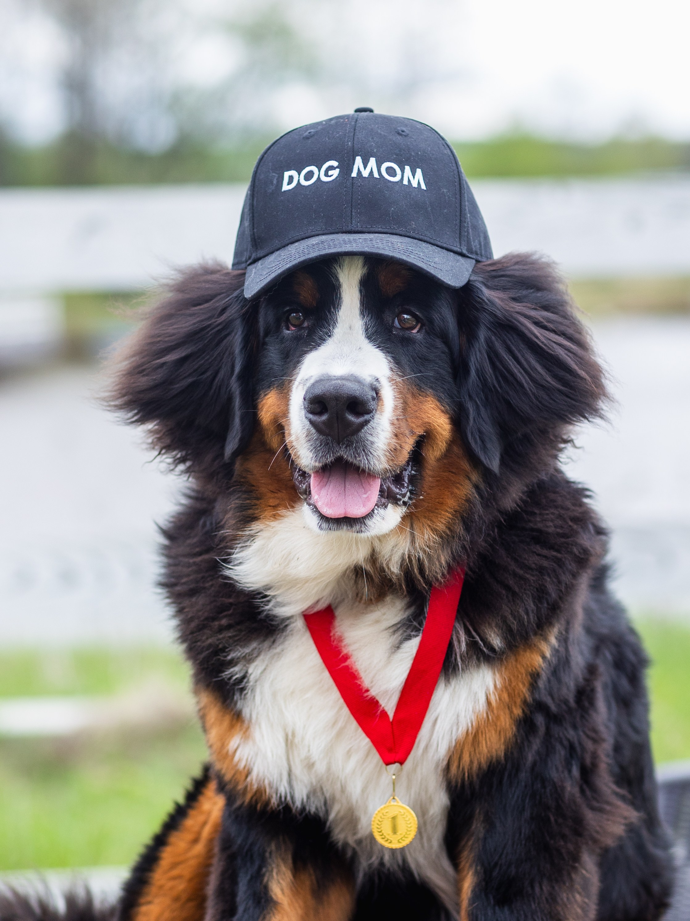 Фотограф-анималист в Москве Кириллова Татьяна