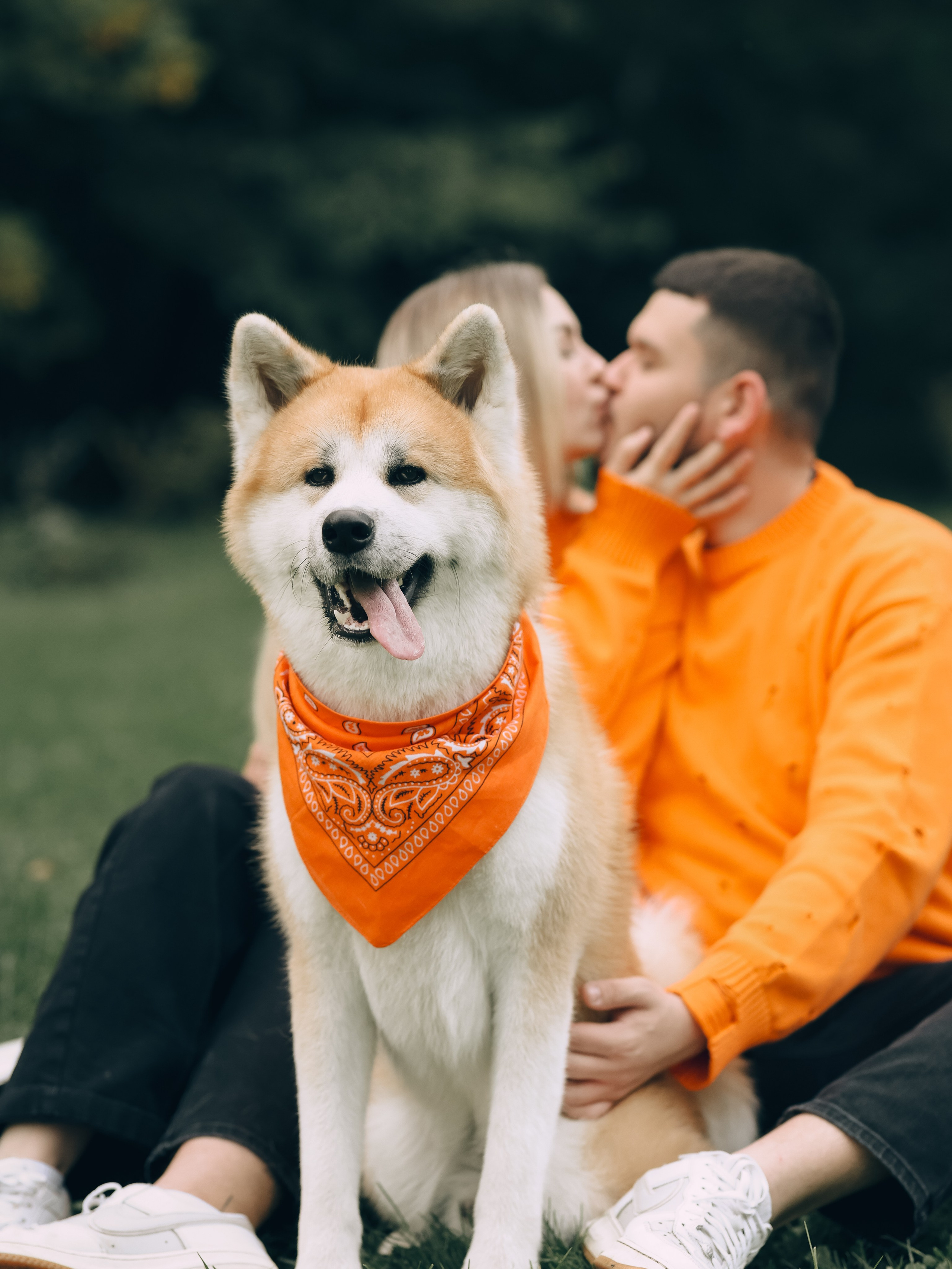 Гранд, Вика и Степан. Фотограф-анималист в Москве Кириллова Татьяна