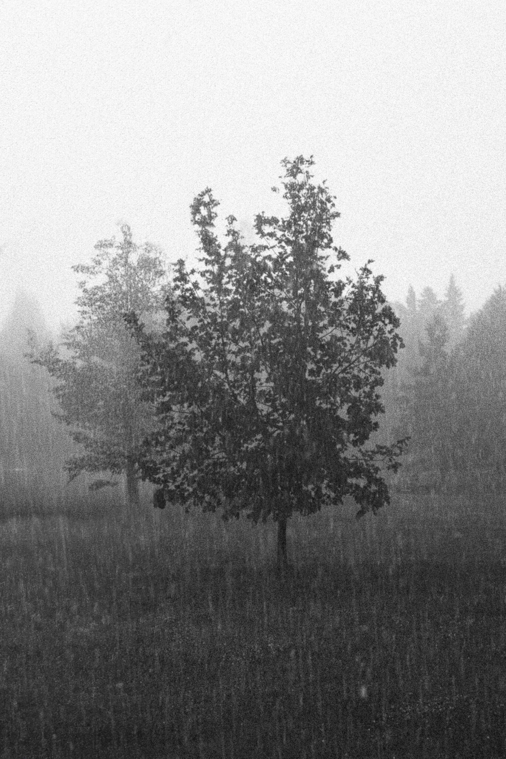 МНЕ С ТОБОЙ ТЕПЛО. Свадебный фотограф в Москве Мария Кривоногова