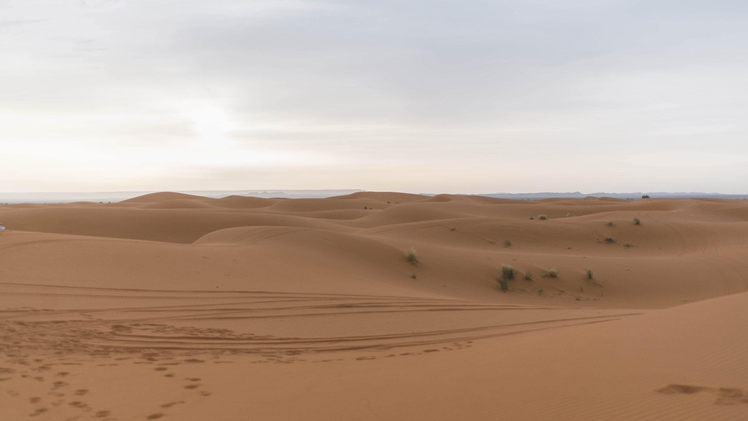 Пустыня Сахара, 2026. Фотограф Марк Арсаков