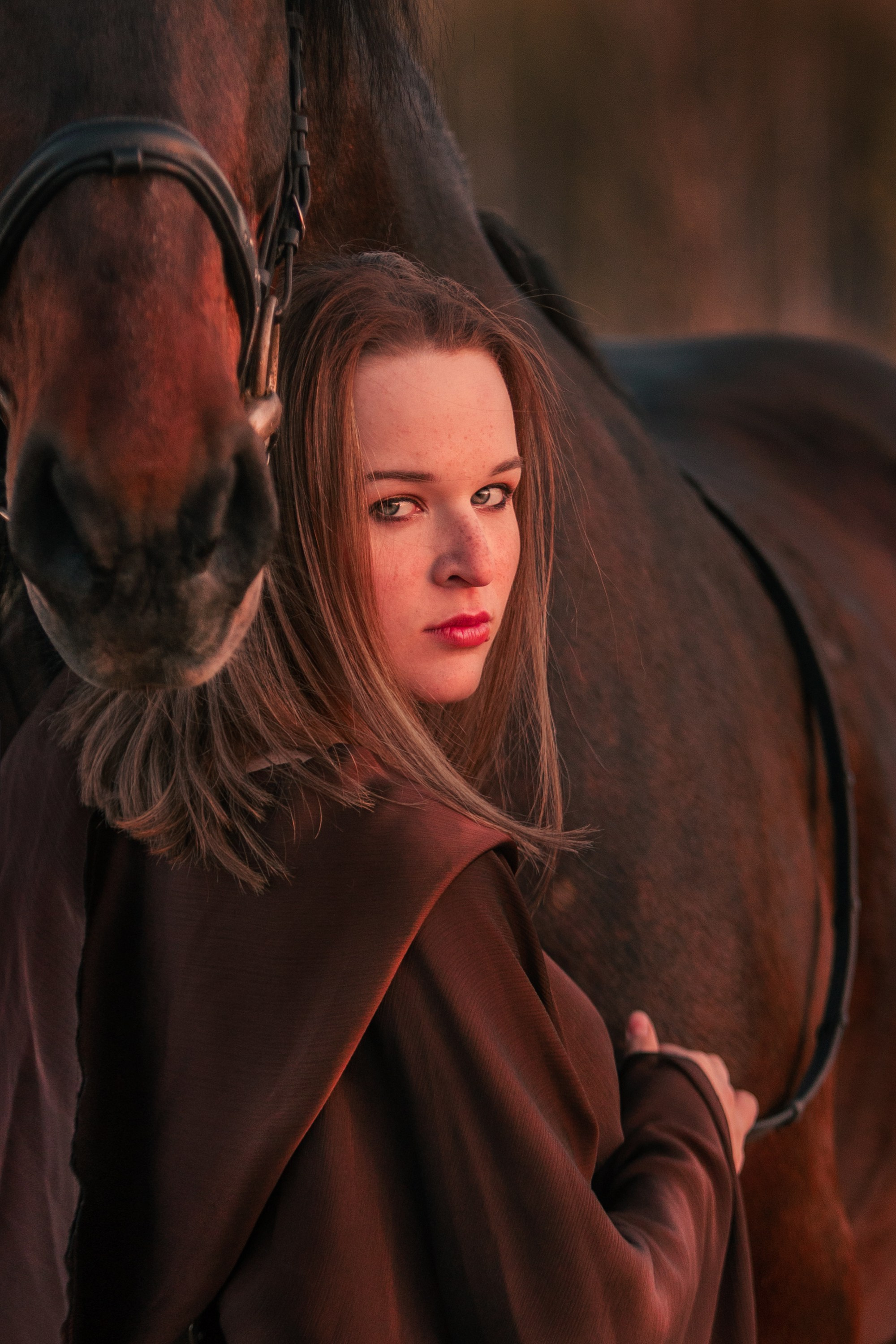 Фотосессии с лошадьми. Главная