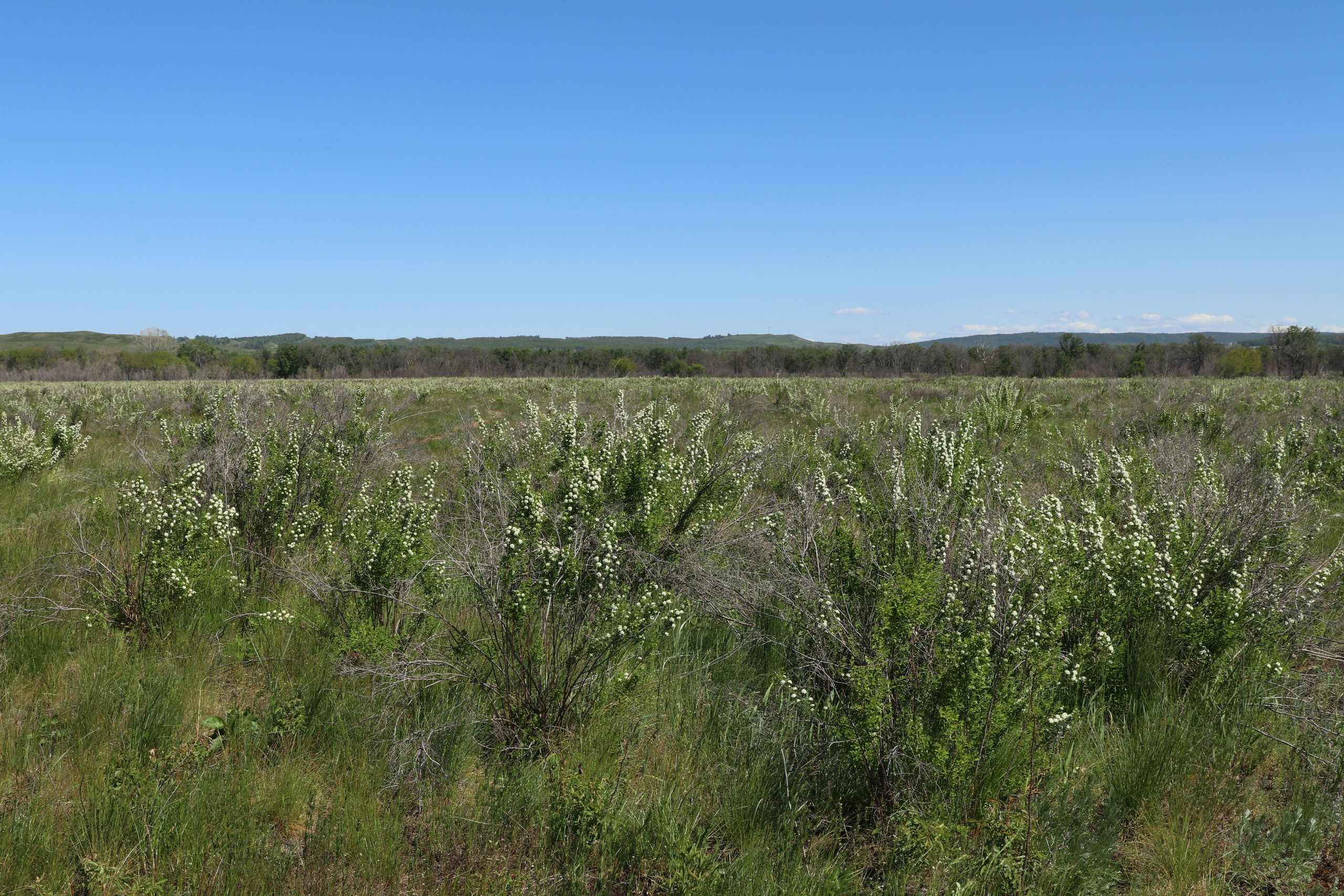 Велопоход Уфа — Мелеуз. Май 2024. Путешественник-фотограф из Санкт-Петербурга Татьяна Свистулина