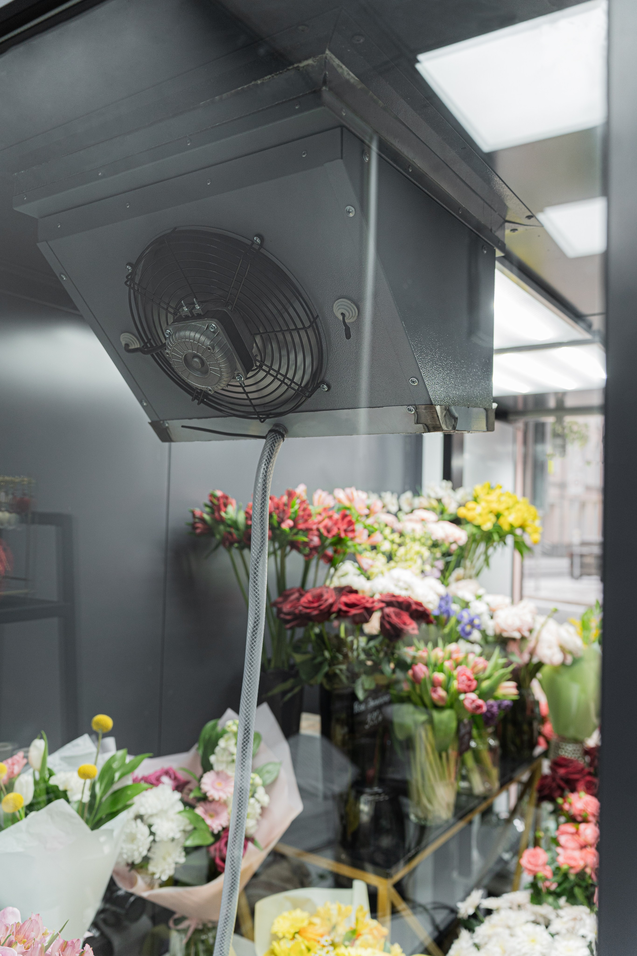 Регион холод. Елена Пашкевич, фотограф, Москва