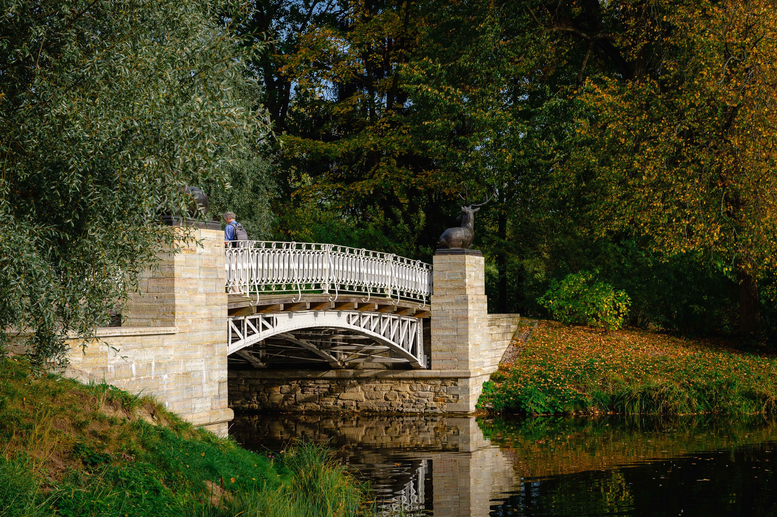2023.09. Фотограф Алексей Алексеев