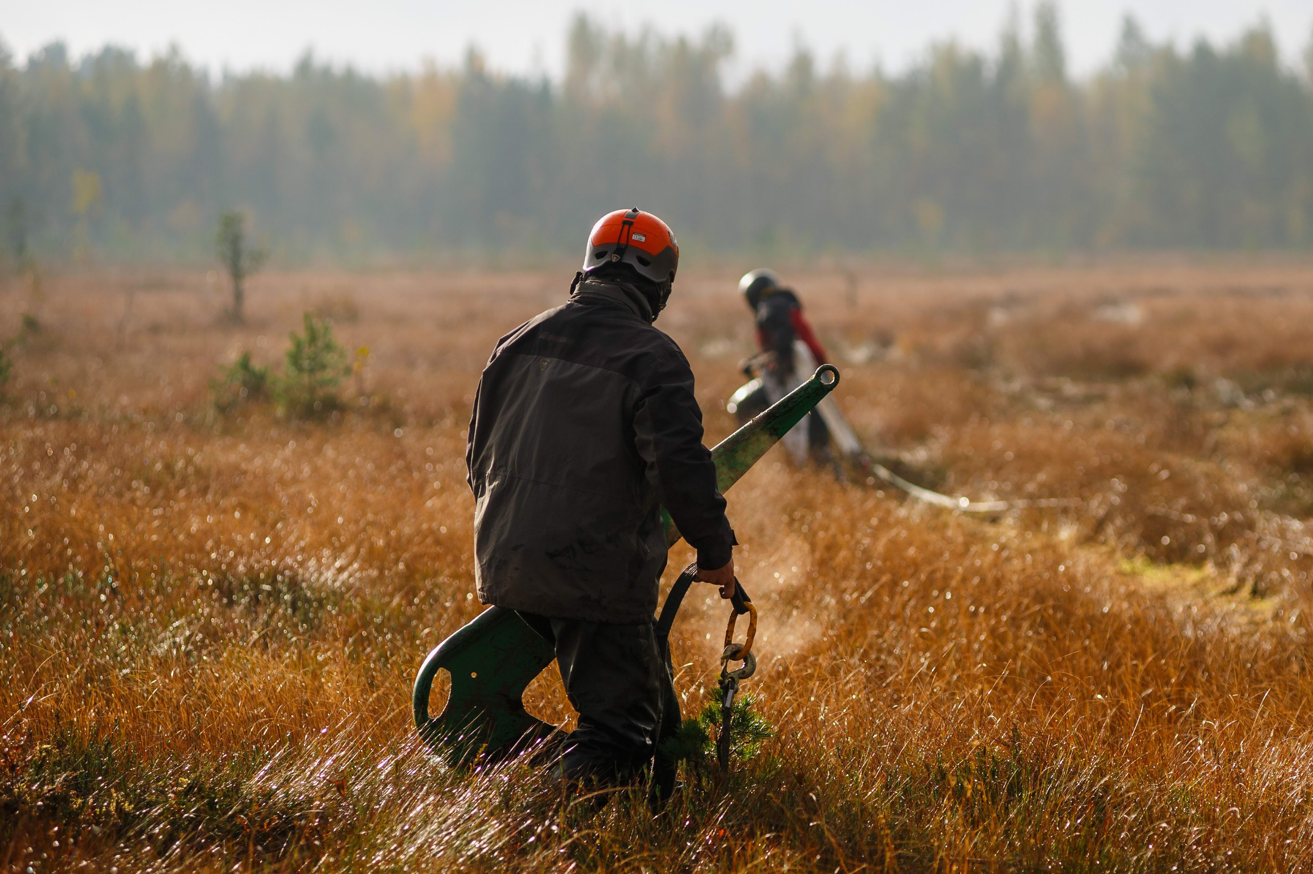 Кубок СПб по трофи-рейдам 04-06.10.2024 — день 2. Фотограф Алексей Алексеев