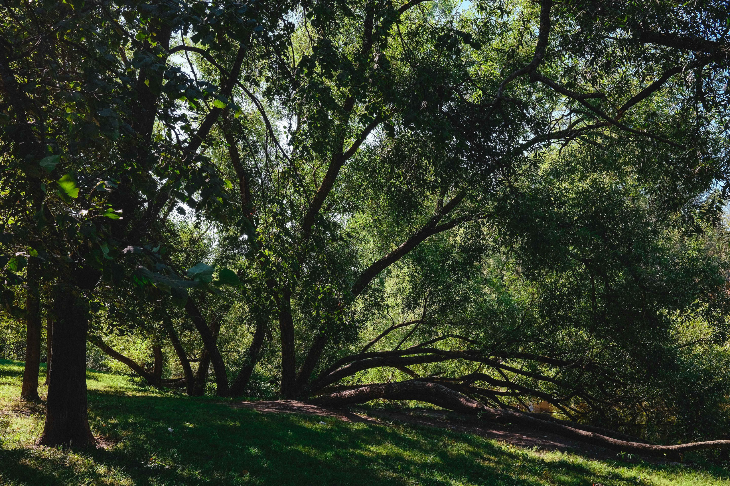 2023.08. Фотограф Алексей Алексеев