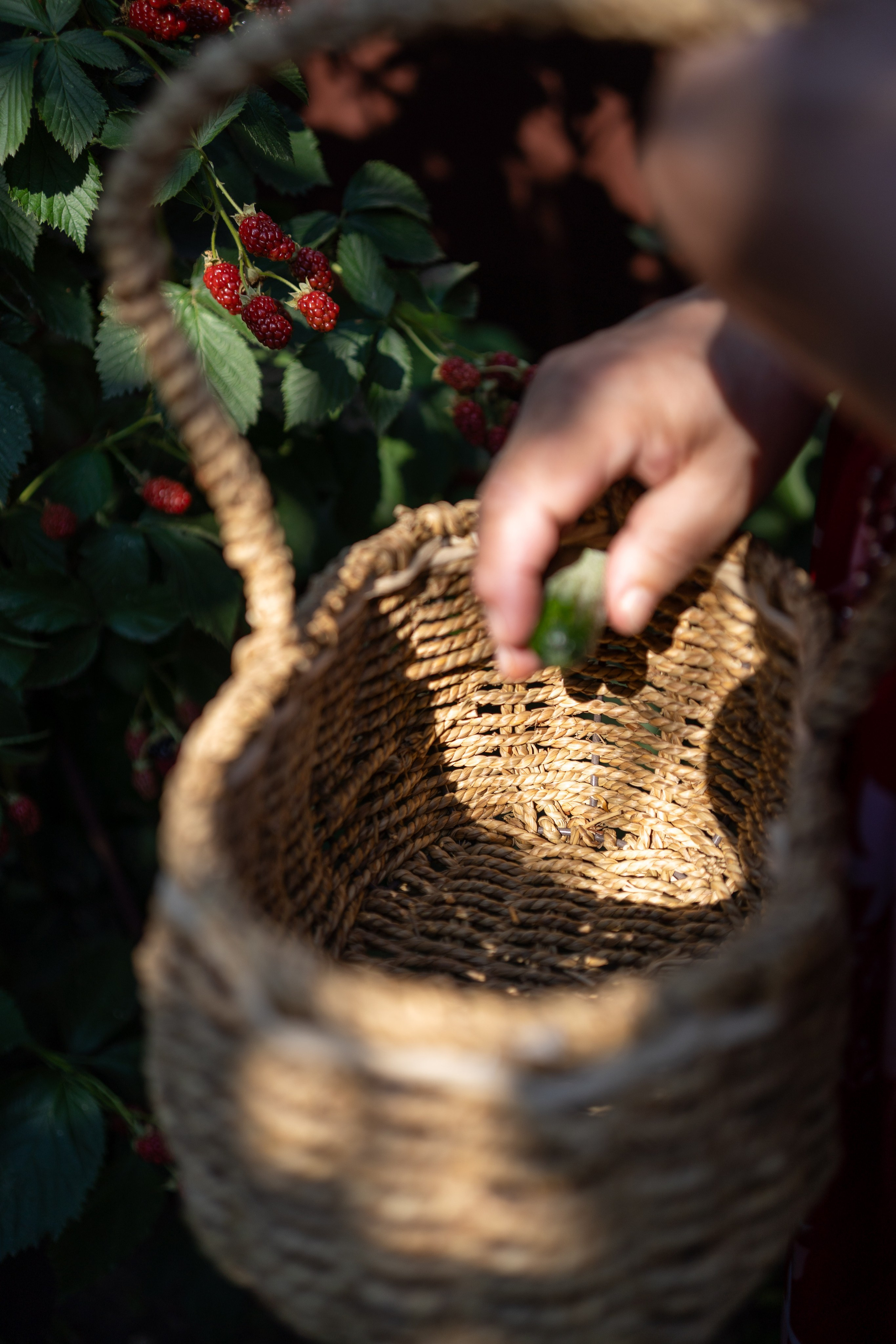Съемка для патронажной службы. Фотограф и маркетолог Андрей Юрилин Саратов и Энгельс