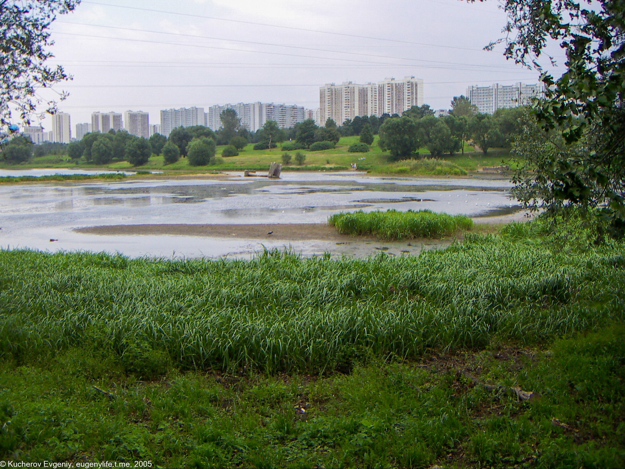 Август 2005. Царицыно. Кучеров Евгений. Фотограф
