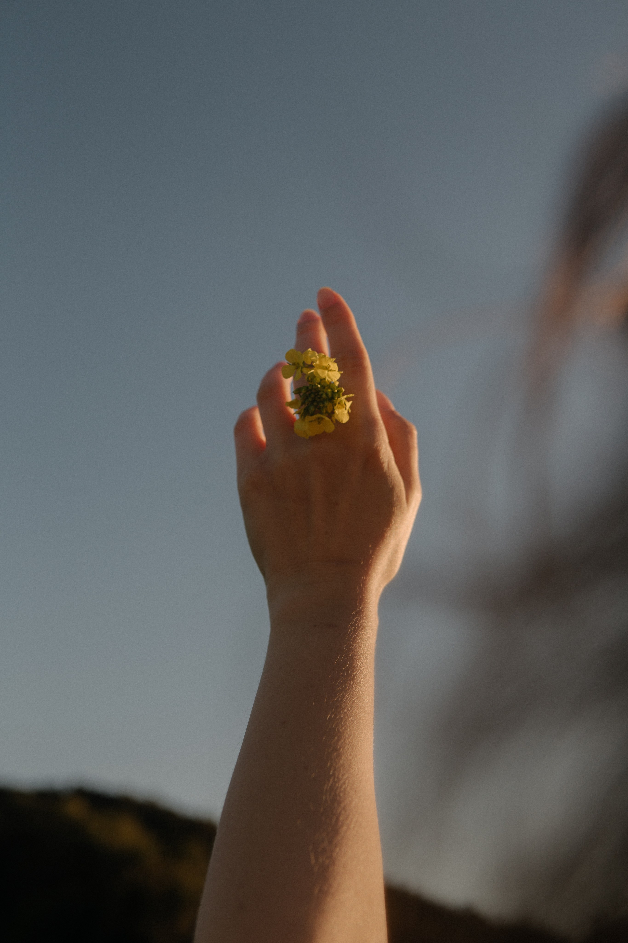 Veta. Portrait, family and pet photographer in Cyprus, Ksenia Bourdelle