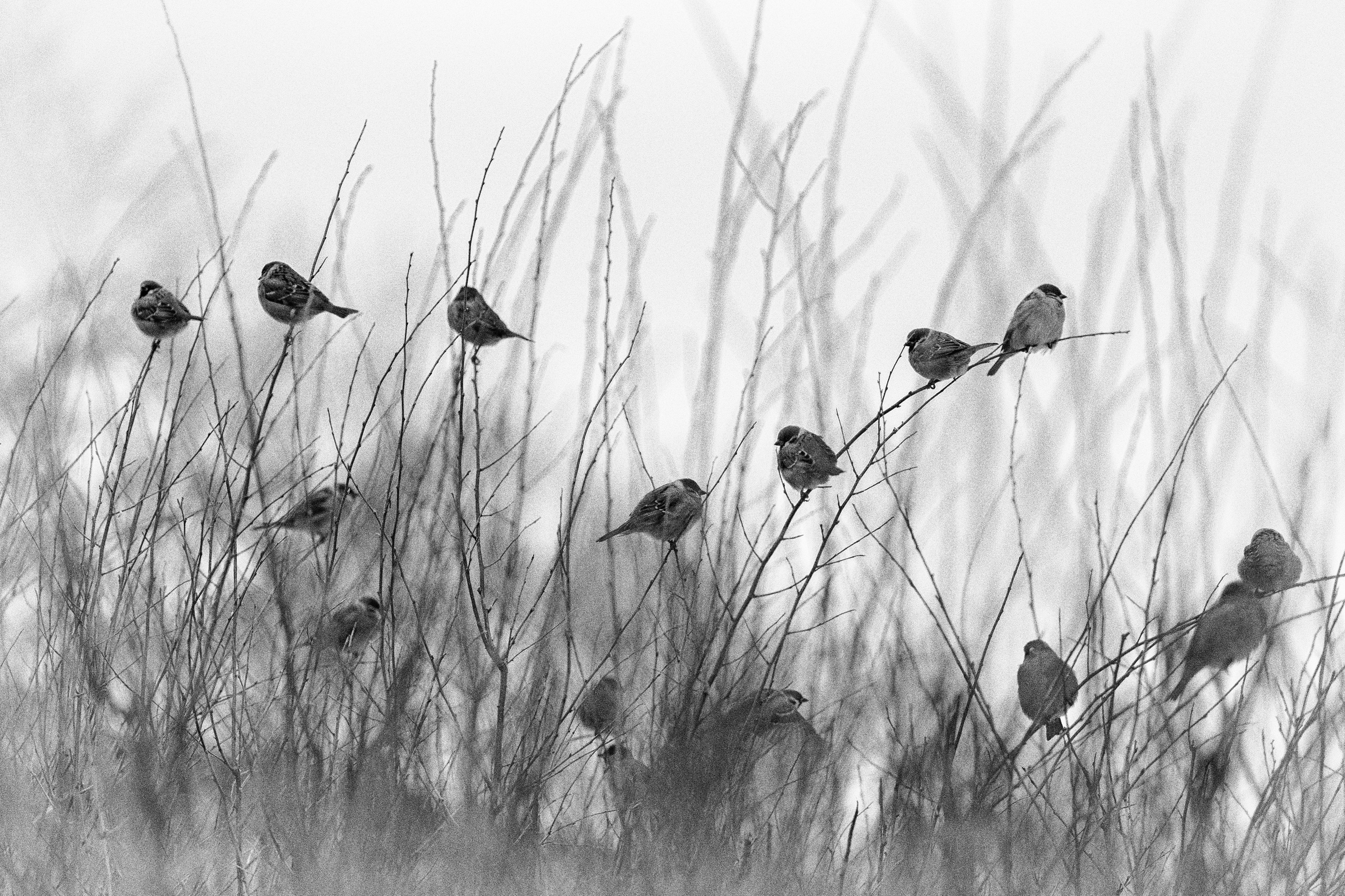 Фотограф Ольга Дунаева