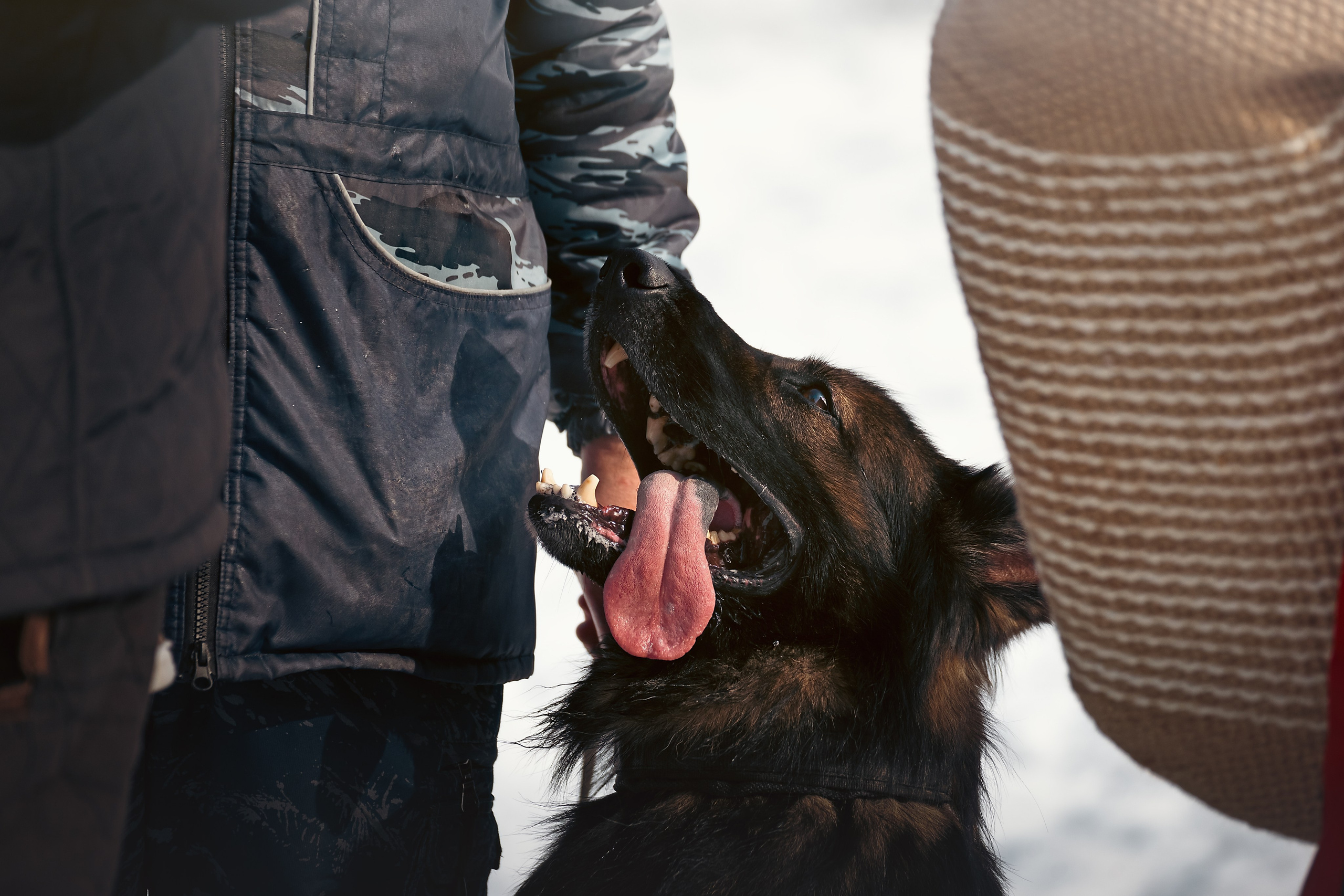 Репортажная съемка. Фотограф-анималист Нижний Новгород